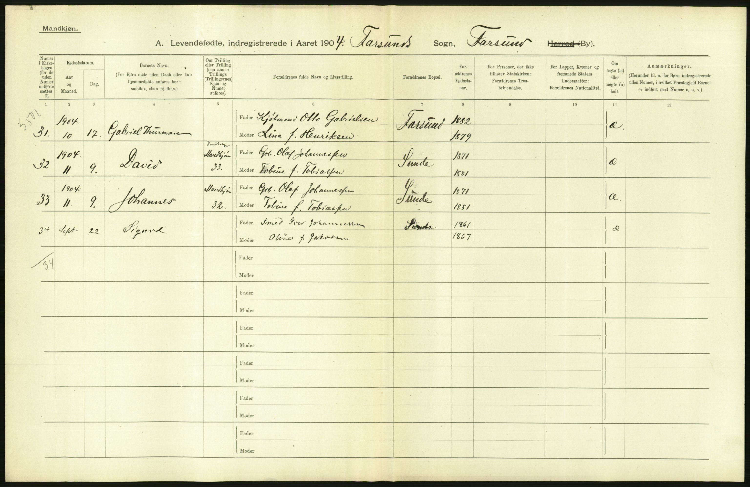 Statistisk sentralbyrå, Sosiodemografiske emner, Befolkning, AV/RA-S-2228/D/Df/Dfa/Dfab/L0011: Lister og Mandals amt: Fødte, gifte, døde, 1904, p. 502