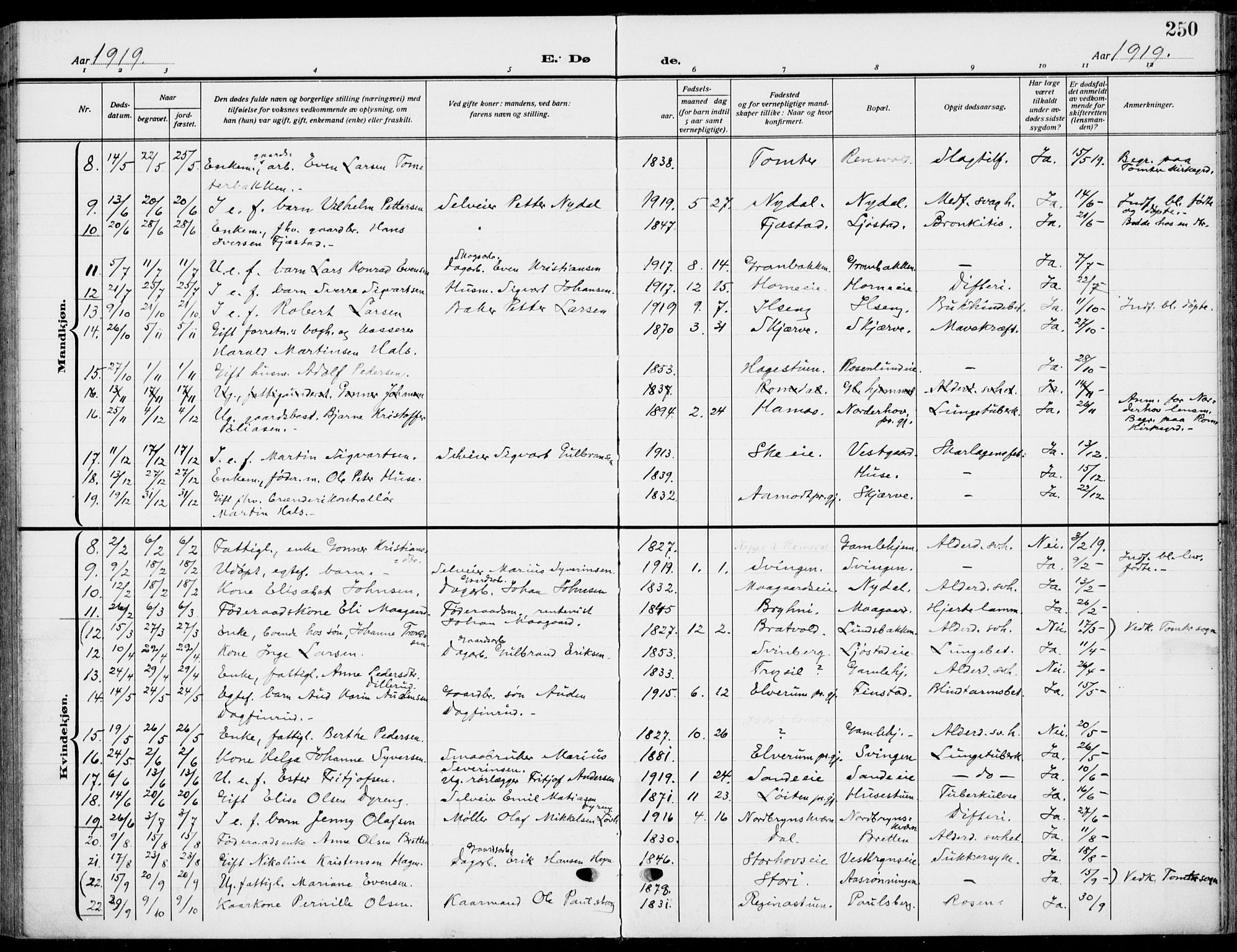 Romedal prestekontor, AV/SAH-PREST-004/K/L0012: Parish register (official) no. 12, 1913-1935, p. 250