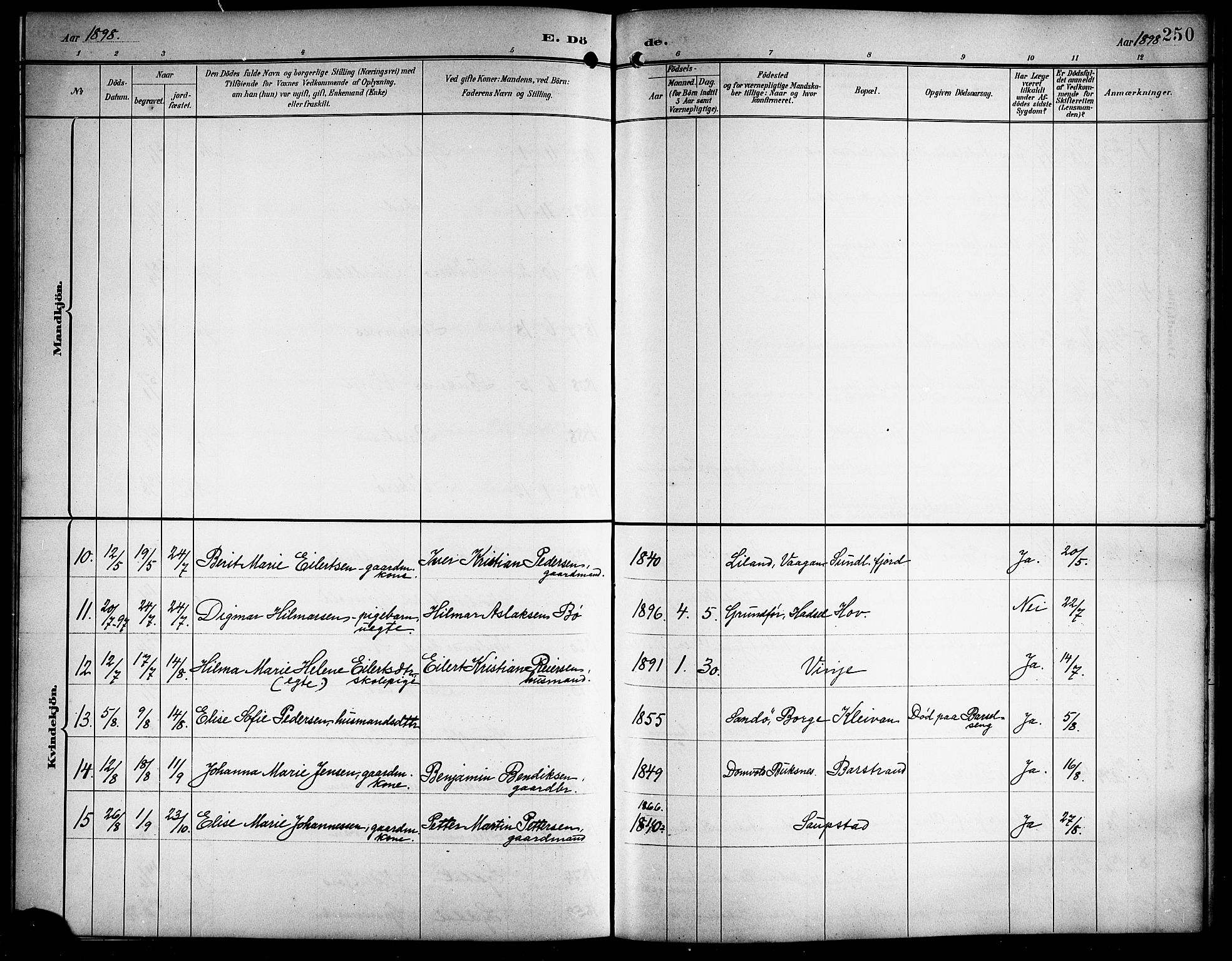 Ministerialprotokoller, klokkerbøker og fødselsregistre - Nordland, AV/SAT-A-1459/876/L1105: Parish register (copy) no. 876C04, 1896-1914, p. 250