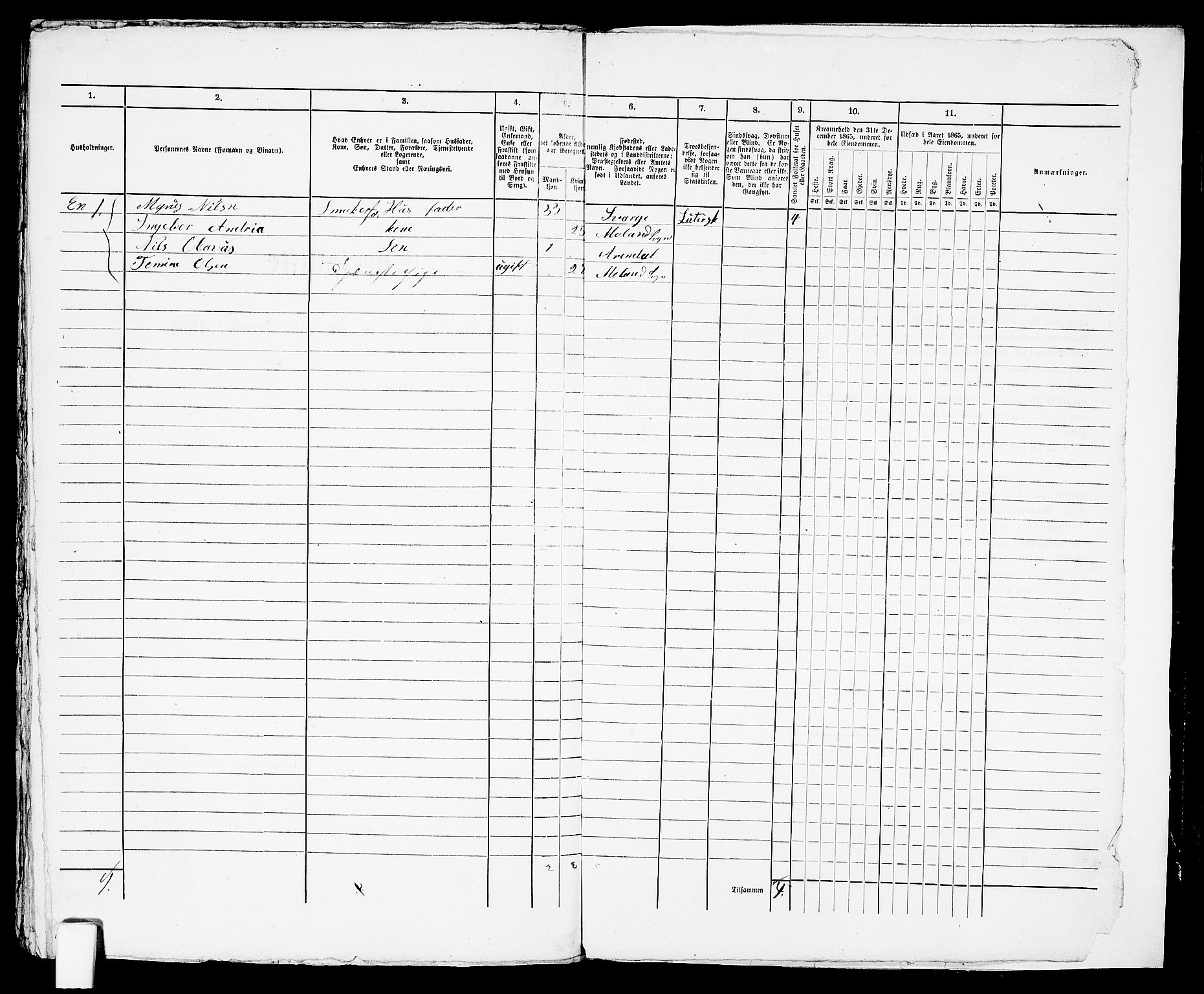 RA, 1865 census for Arendal, 1865, p. 346