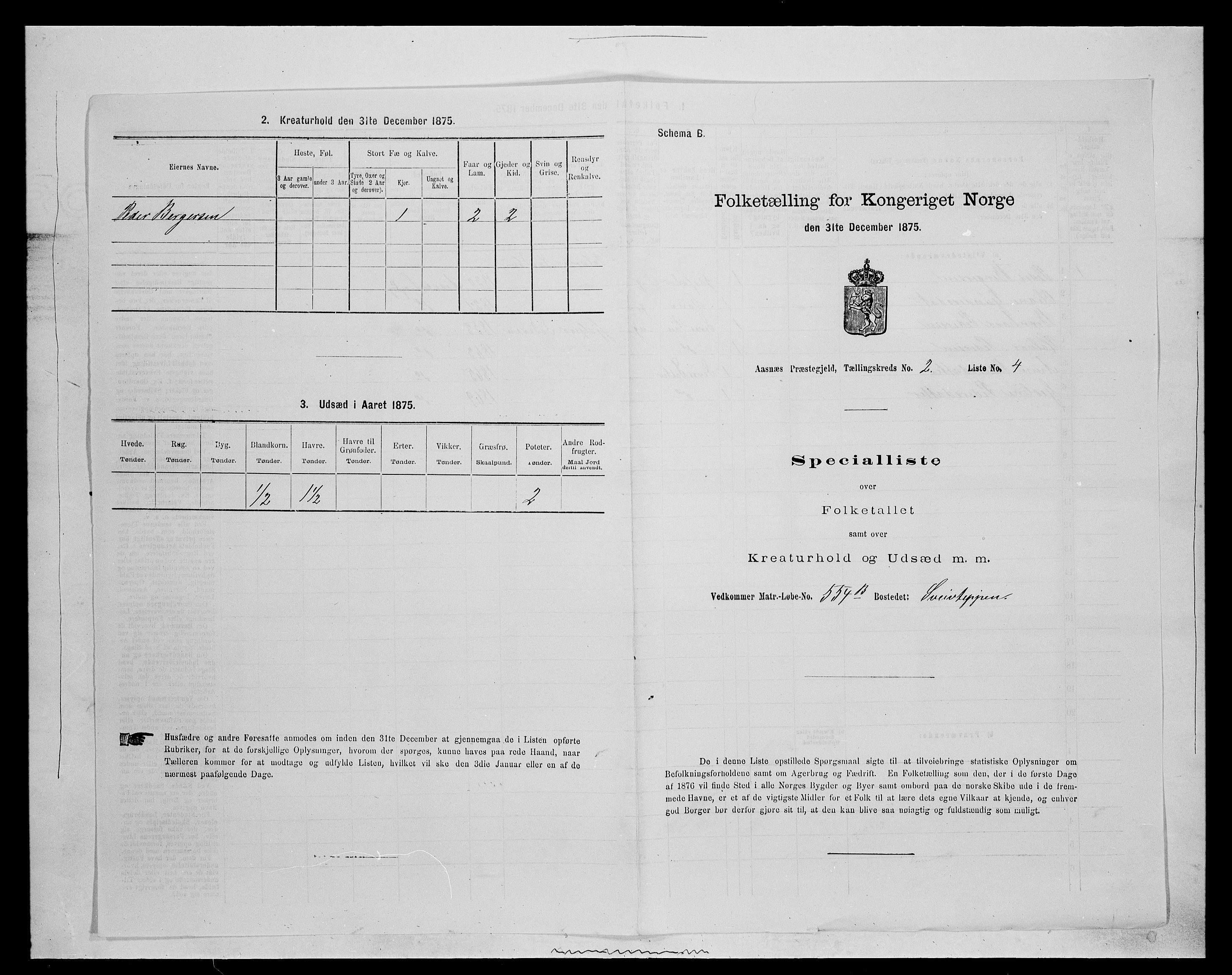 SAH, 1875 census for 0425P Åsnes, 1875, p. 157