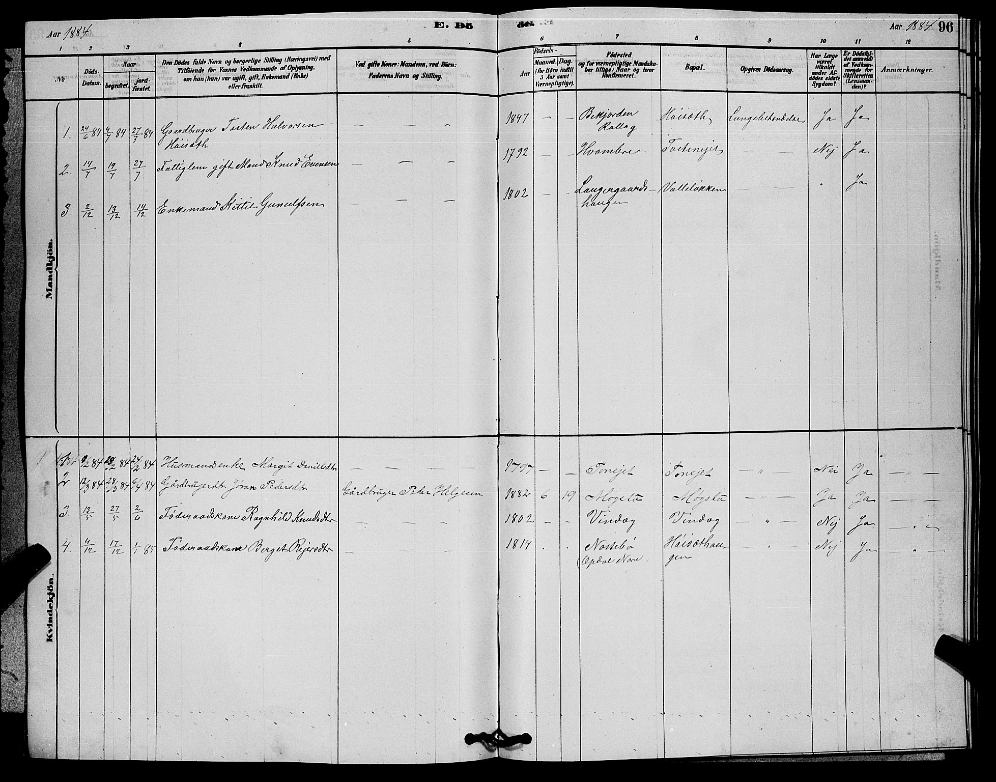 Rollag kirkebøker, SAKO/A-240/G/Gb/L0002: Parish register (copy) no. II 2, 1878-1898, p. 96