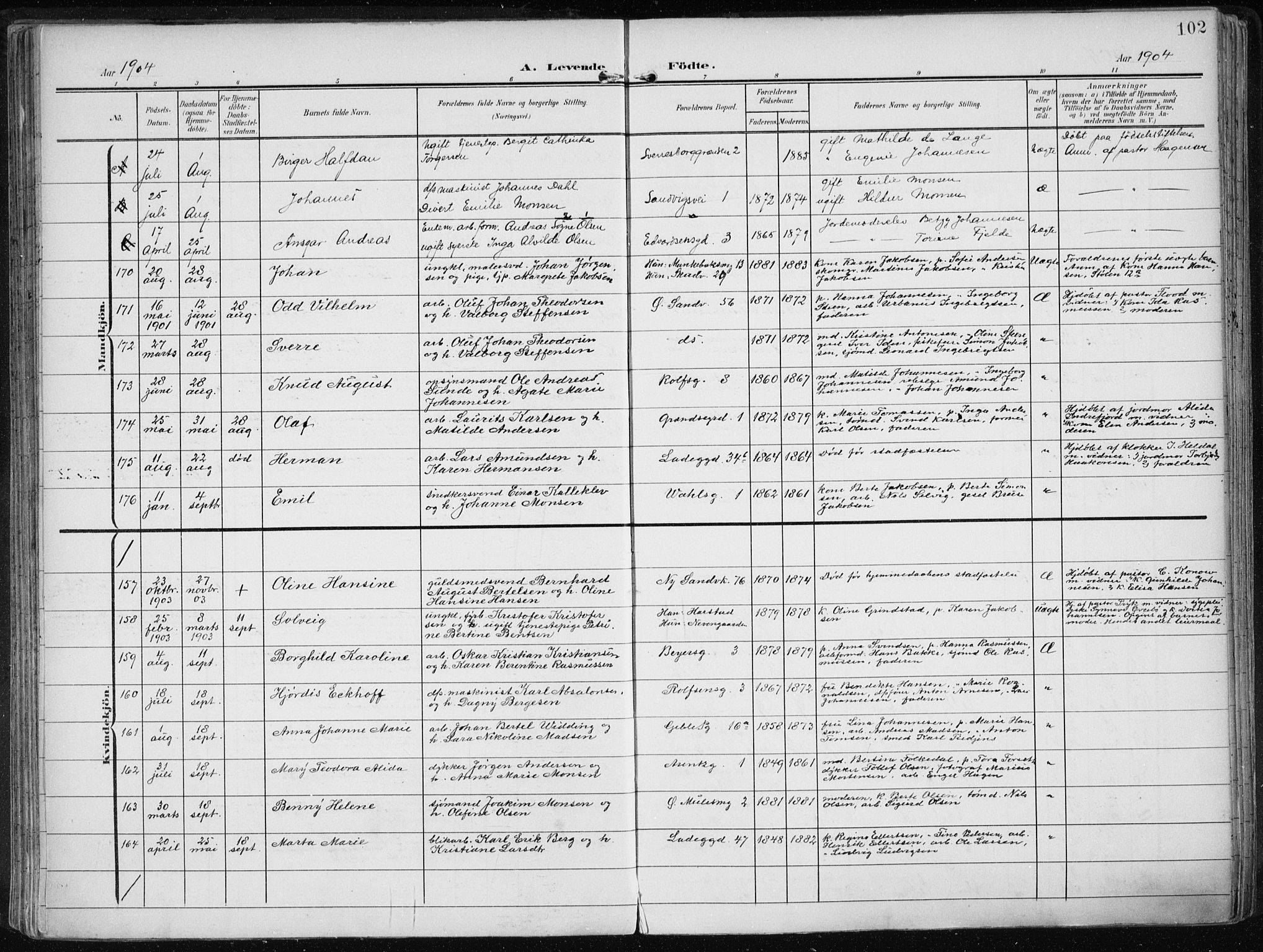 Sandviken Sokneprestembete, SAB/A-77601/H/Ha/L0006: Parish register (official) no. B 3, 1901-1912, p. 102