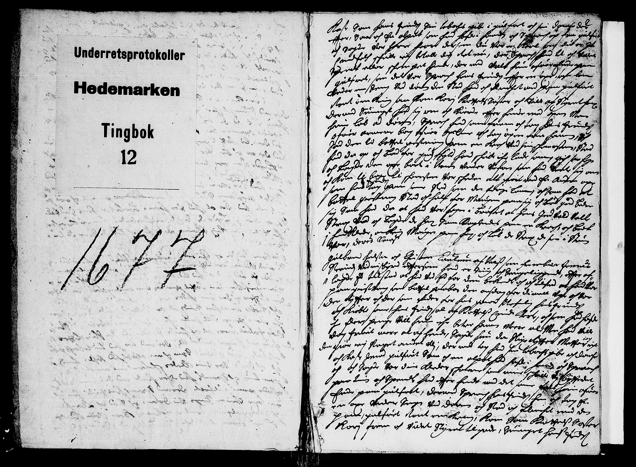 Hedemarken sorenskriveri, SAH/TING-034/G/Gb/L0013: Tingbok, 1677, p. 0b-1a