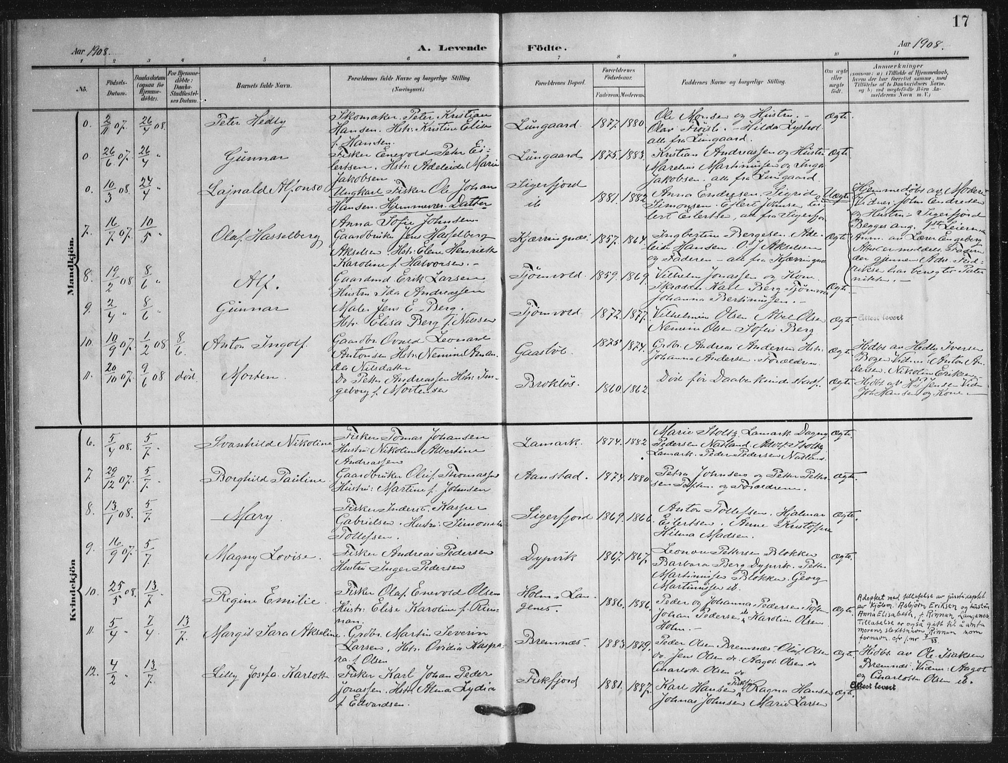 Ministerialprotokoller, klokkerbøker og fødselsregistre - Nordland, AV/SAT-A-1459/895/L1373: Parish register (official) no. 895A08, 1905-1915, p. 17