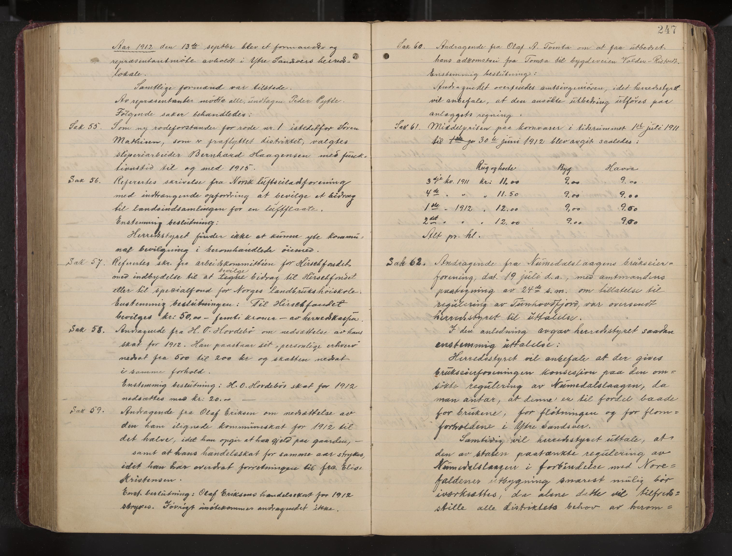 Ytre Sandsvær formannskap og sentraladministrasjon, IKAK/0629021/A/Aa/L0001: Møtebok med register, 1902-1919, p. 247