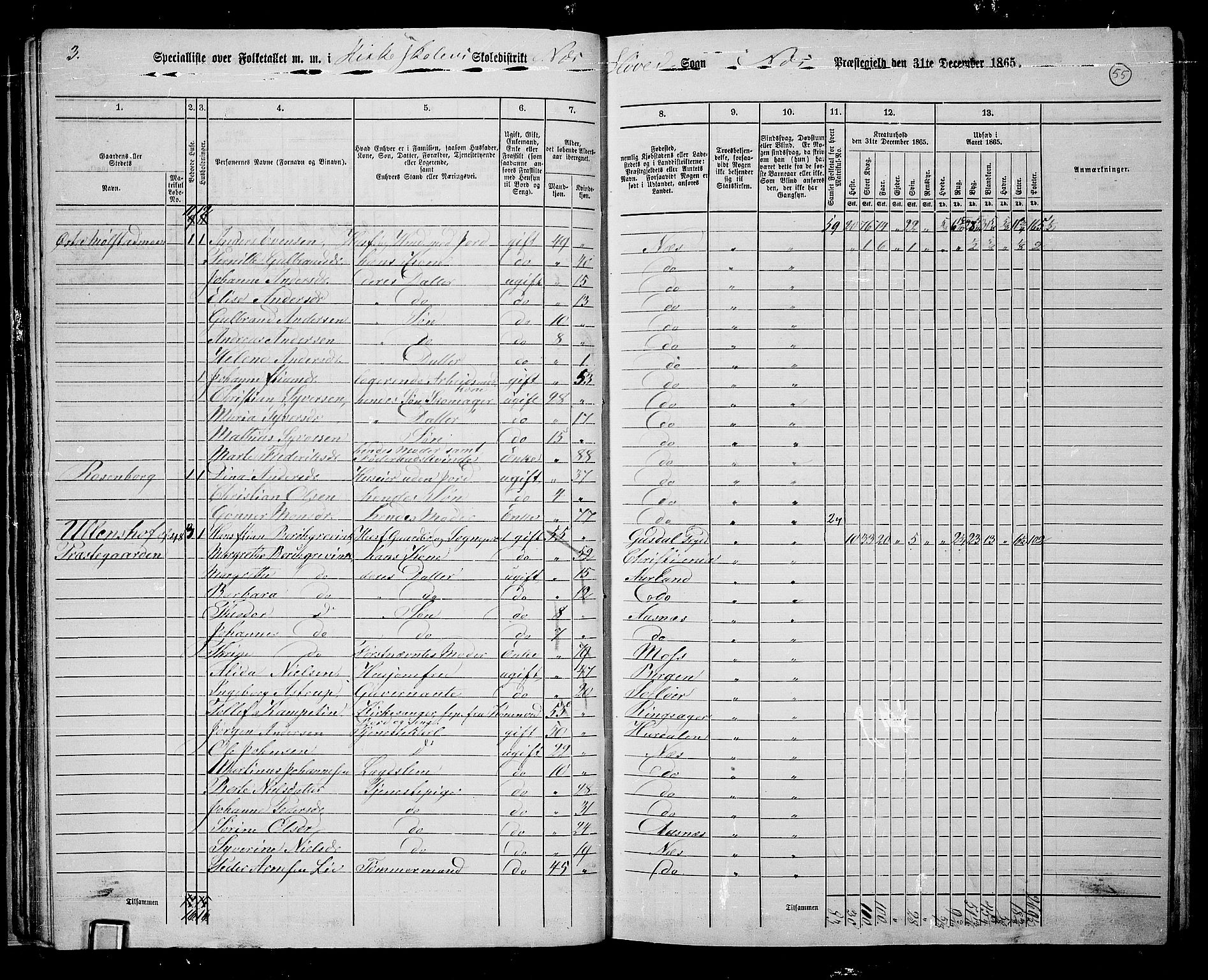 RA, 1865 census for Nes, 1865, p. 48