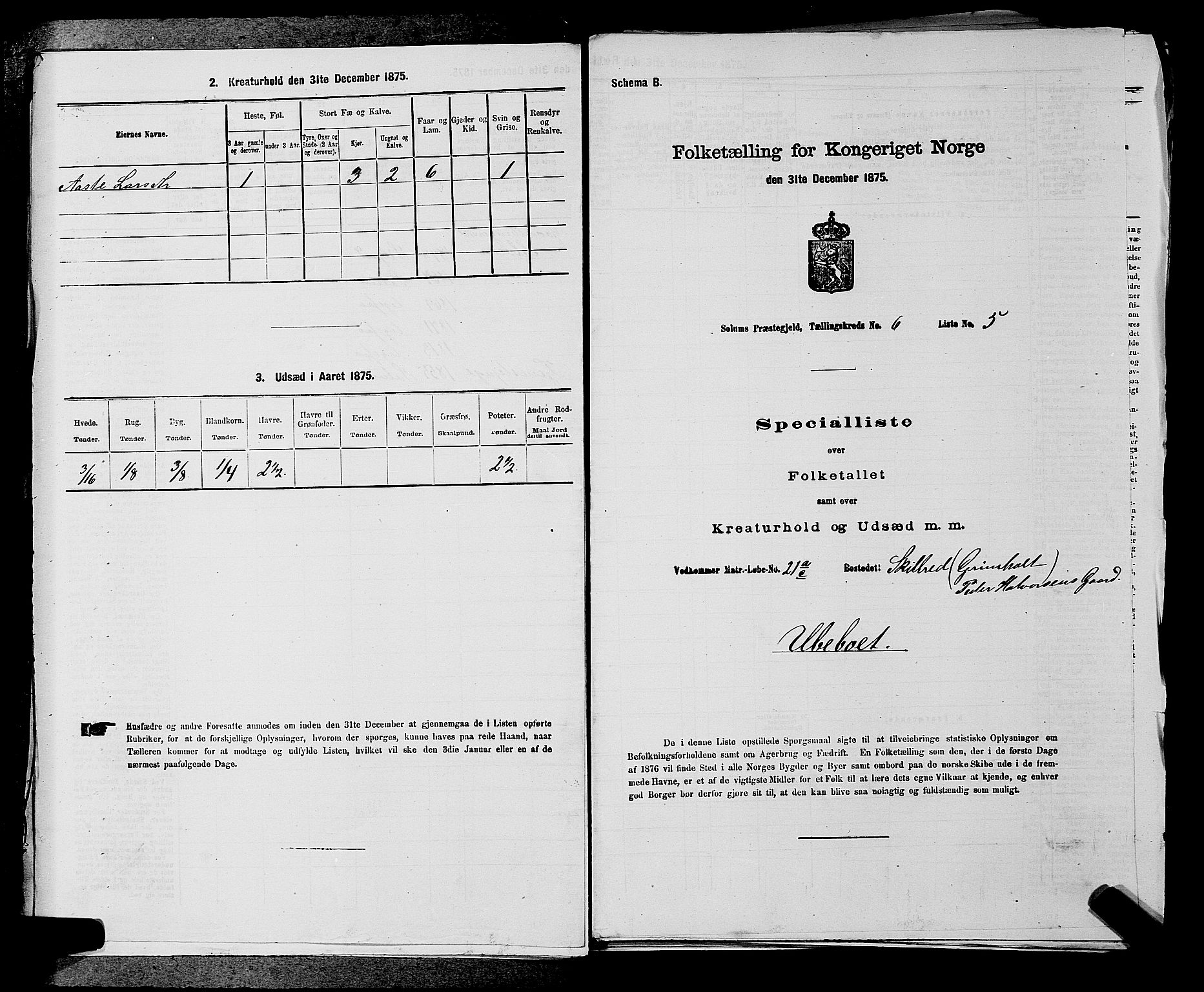 SAKO, 1875 census for 0818P Solum, 1875, p. 1000