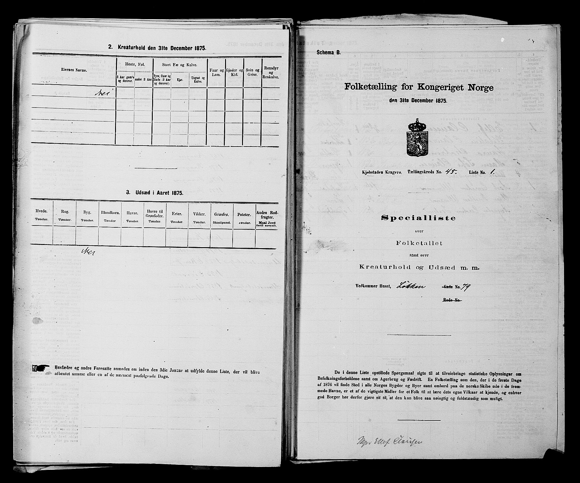 SAKO, 1875 census for 0801P Kragerø, 1875, p. 988