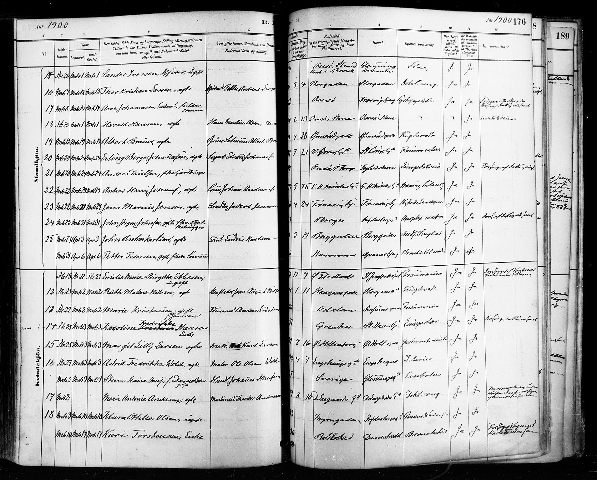 Fredrikstad domkirkes prestekontor Kirkebøker, SAO/A-10906/F/Fa/L0003: Parish register (official) no. 3, 1878-1904, p. 176