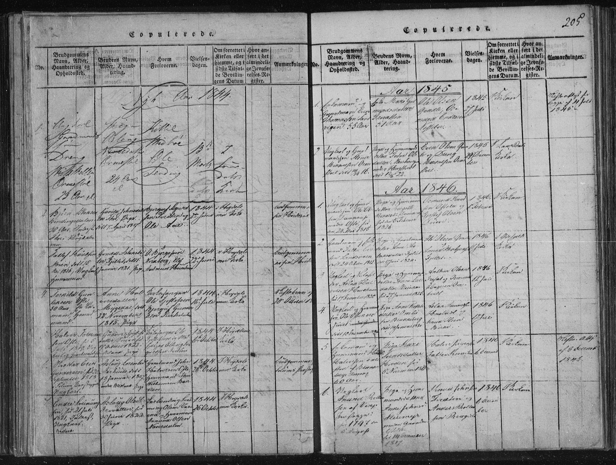 Lårdal kirkebøker, SAKO/A-284/F/Fc/L0001: Parish register (official) no. III 1, 1815-1860, p. 205