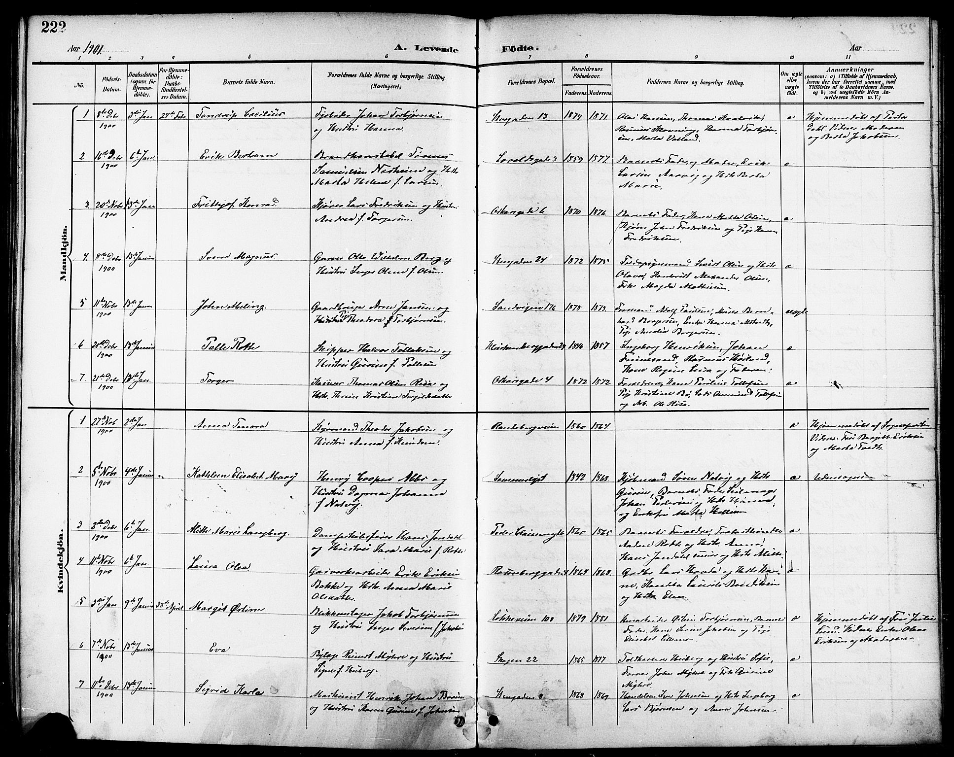 Domkirken sokneprestkontor, SAST/A-101812/001/30/30BB/L0016: Parish register (copy) no. B 16, 1891-1902, p. 222