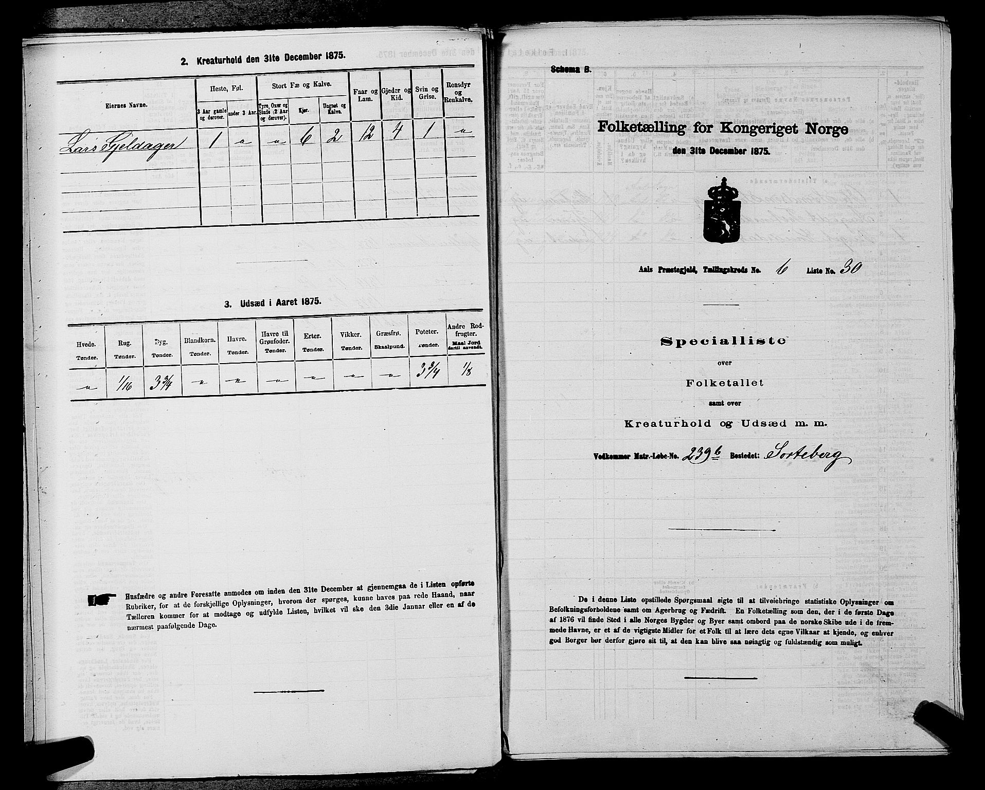 SAKO, 1875 census for 0619P Ål, 1875, p. 799