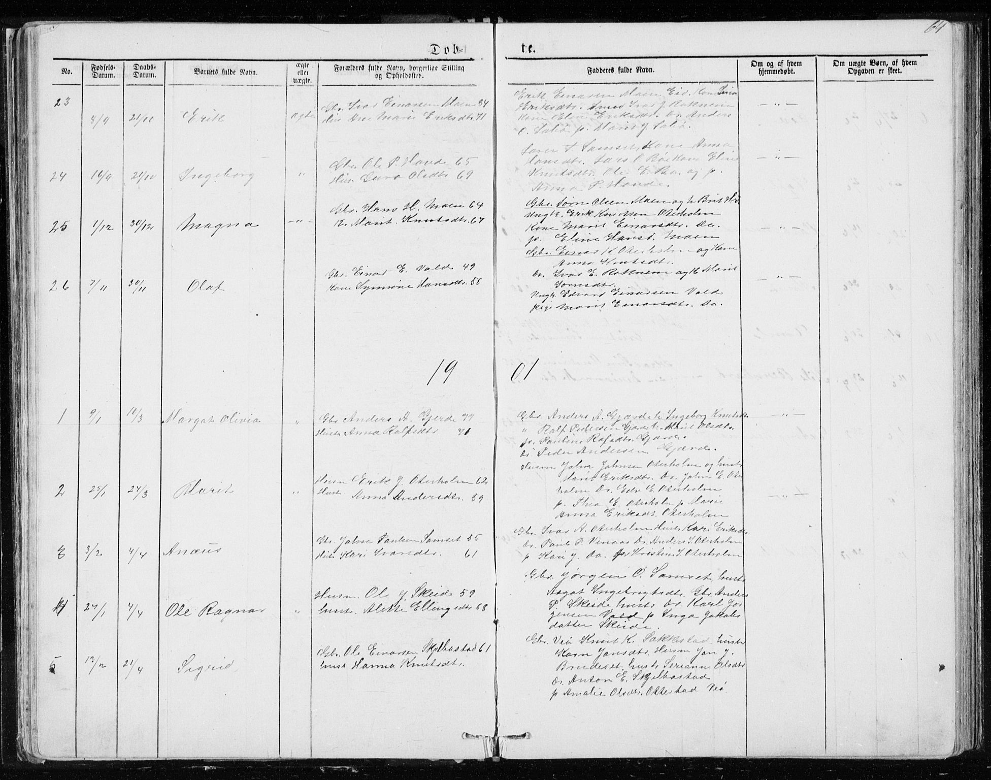 Ministerialprotokoller, klokkerbøker og fødselsregistre - Møre og Romsdal, SAT/A-1454/543/L0564: Parish register (copy) no. 543C02, 1867-1915, p. 64