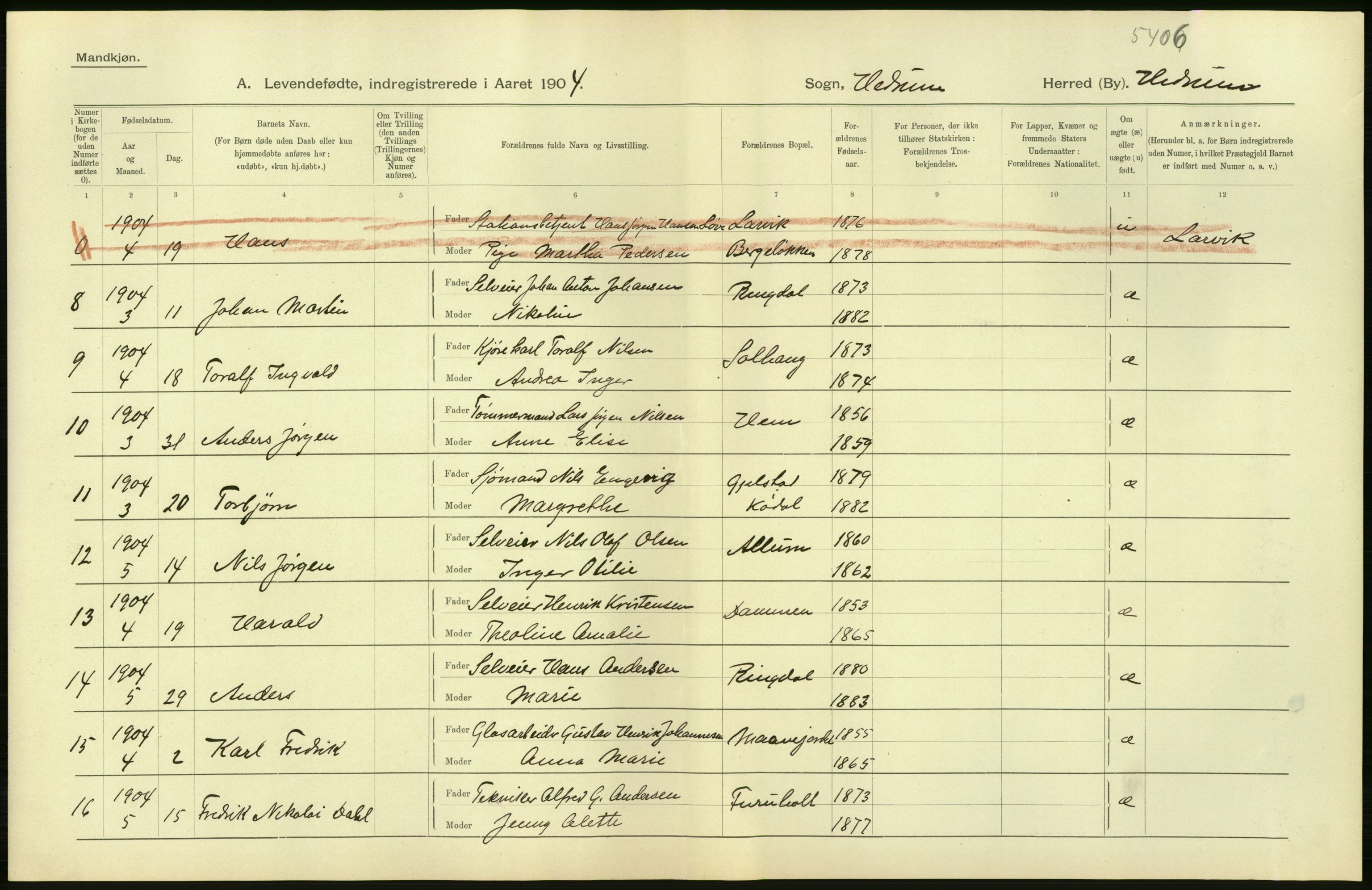 Statistisk sentralbyrå, Sosiodemografiske emner, Befolkning, AV/RA-S-2228/D/Df/Dfa/Dfab/L0008: Jarlsberg og Larvig amt: Fødte, gifte, døde, 1904, p. 40