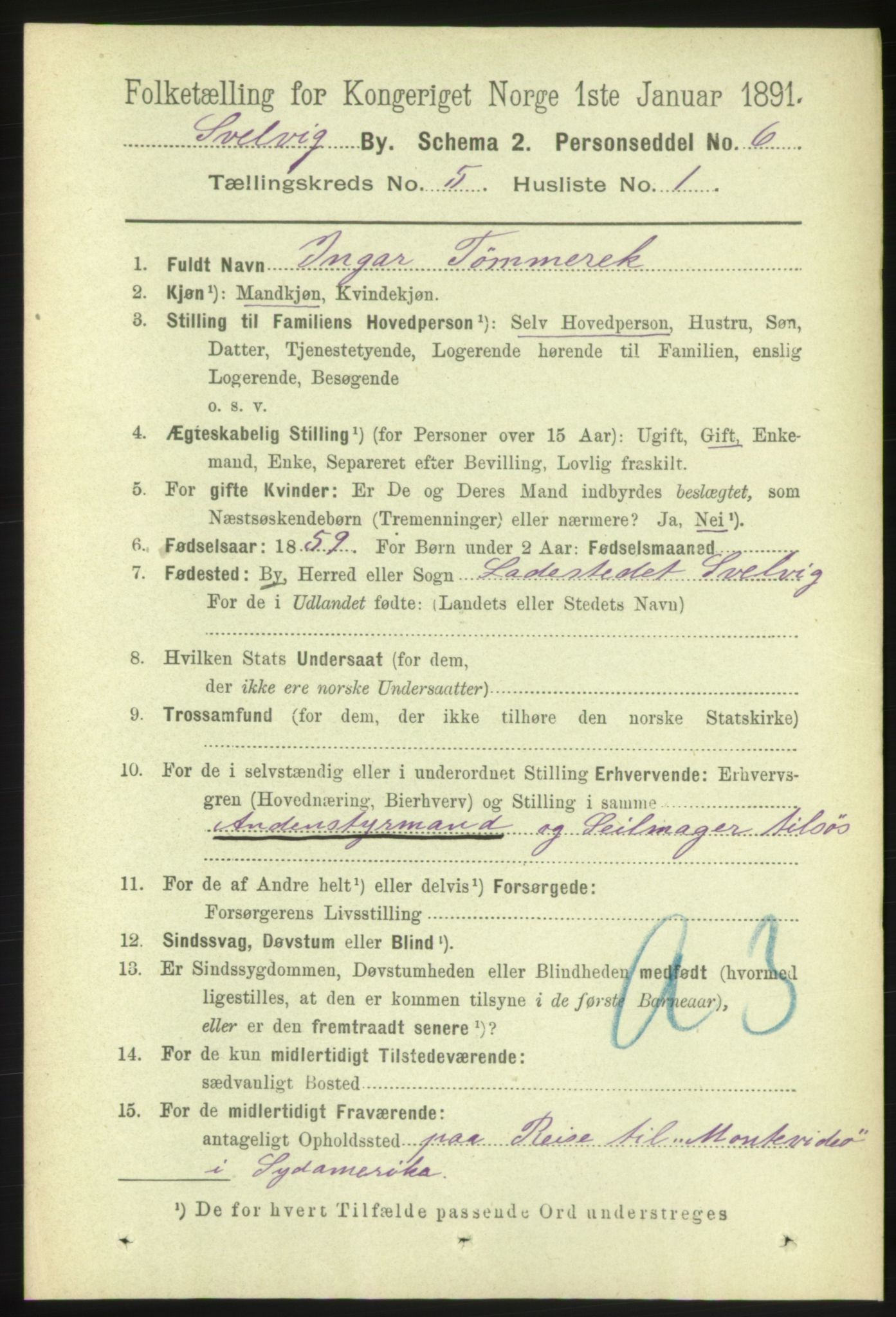 RA, 1891 census for 0701 Svelvik, 1891, p. 1844