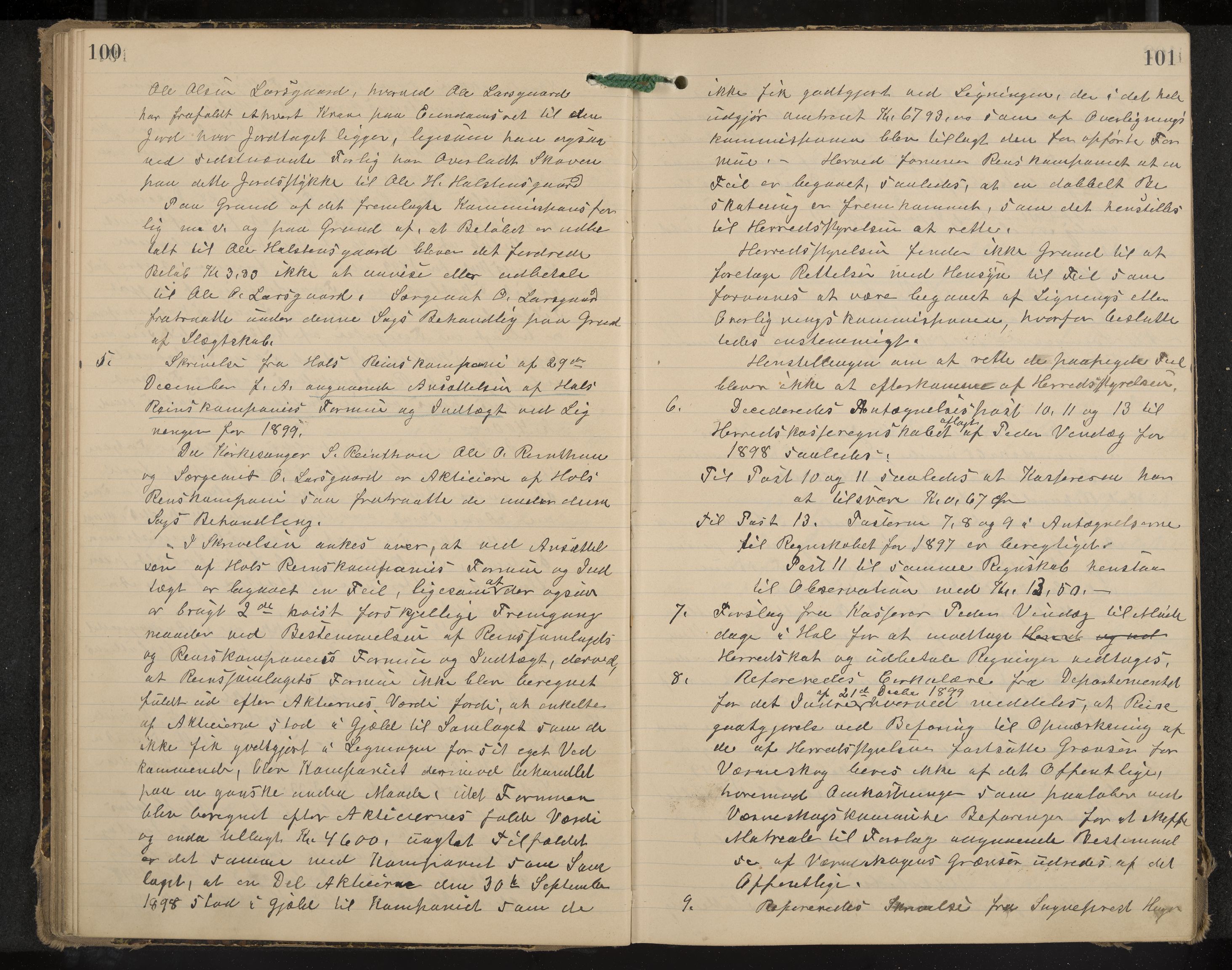 Hol formannskap og sentraladministrasjon, IKAK/0620021-1/A/L0003: Møtebok, 1897-1904, p. 100-101