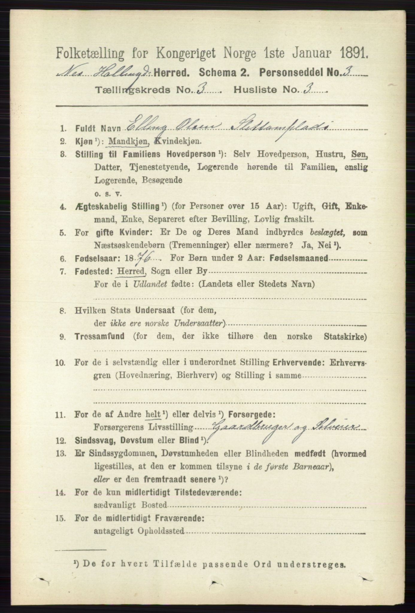 RA, 1891 census for 0616 Nes, 1891, p. 1525