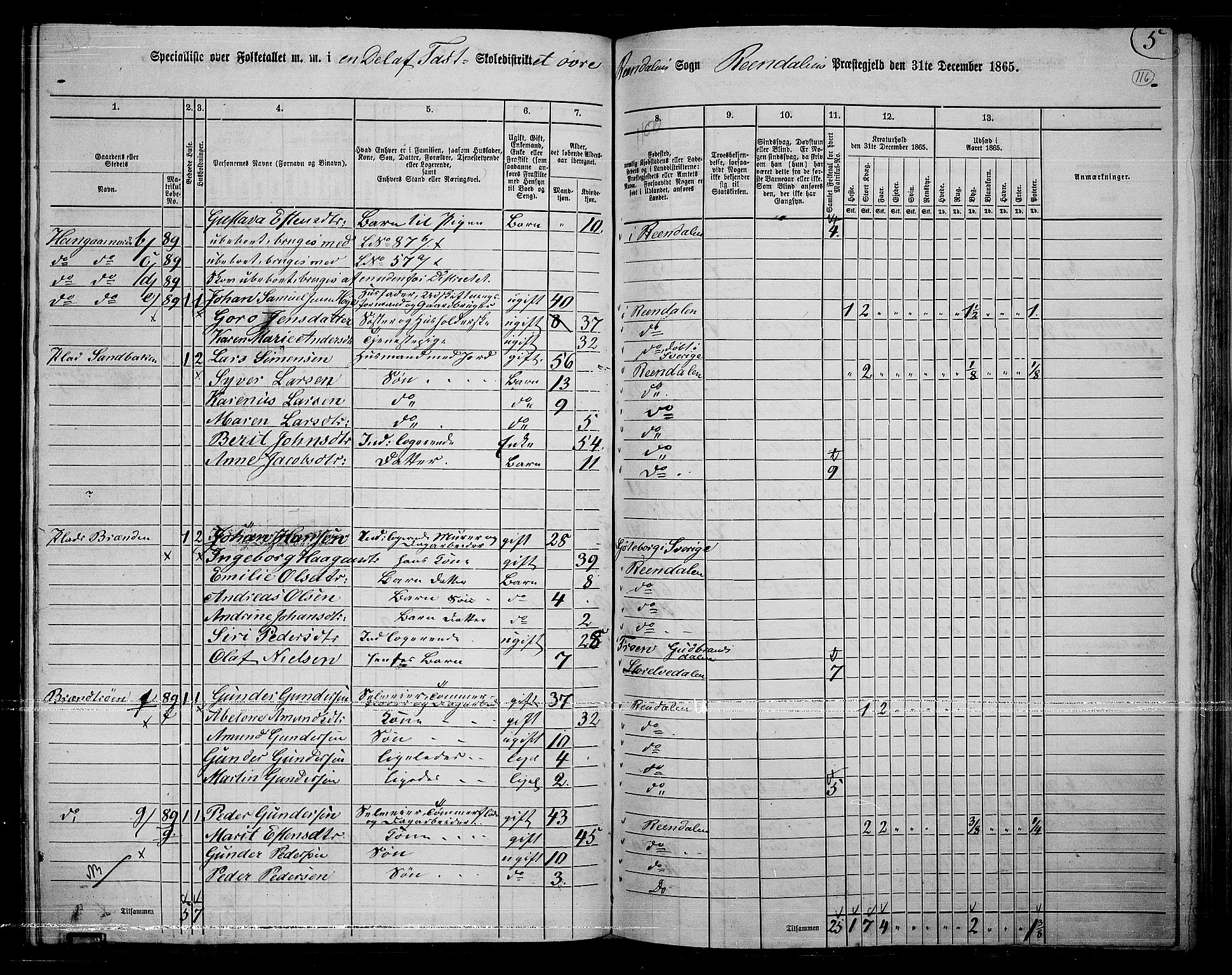 RA, 1865 census for Rendalen, 1865, p. 95