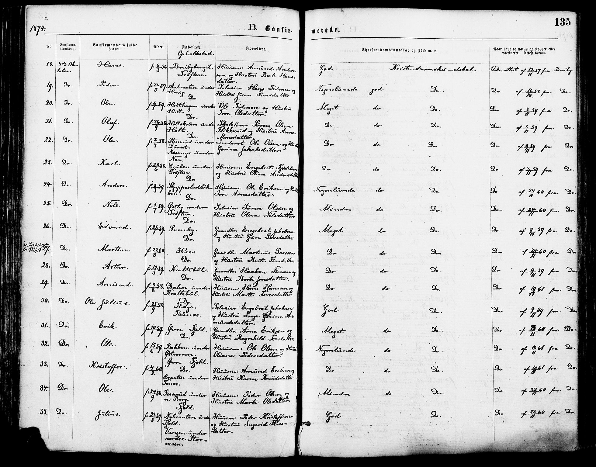 Nord-Odal prestekontor, AV/SAH-PREST-032/H/Ha/Haa/L0005: Parish register (official) no. 5, 1874-1885, p. 135