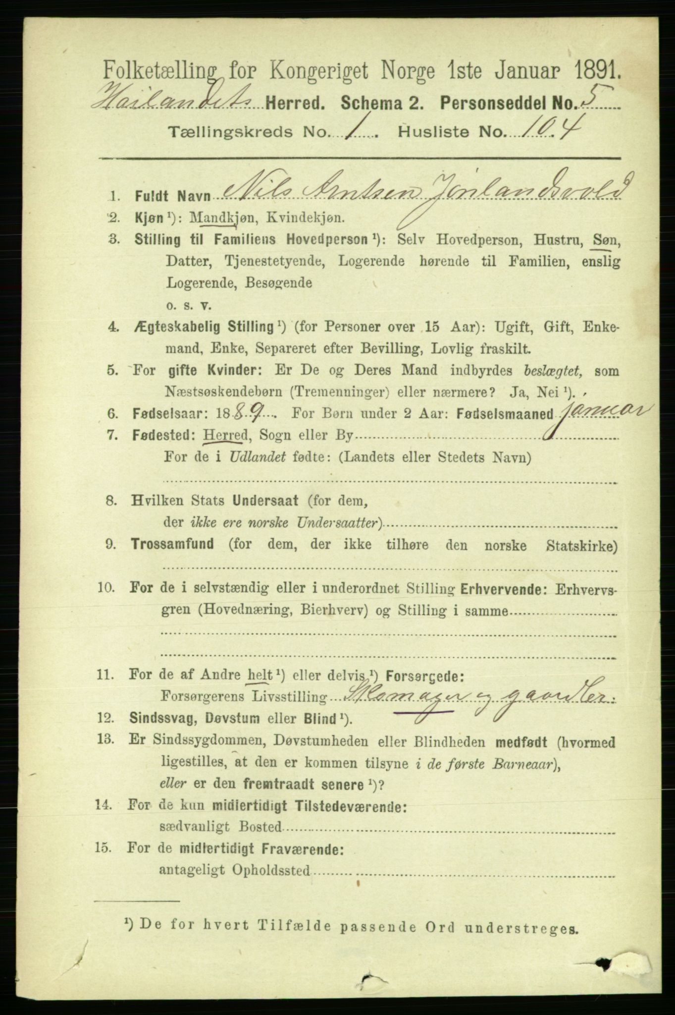 RA, 1891 census for 1651 Hølonda, 1891, p. 722