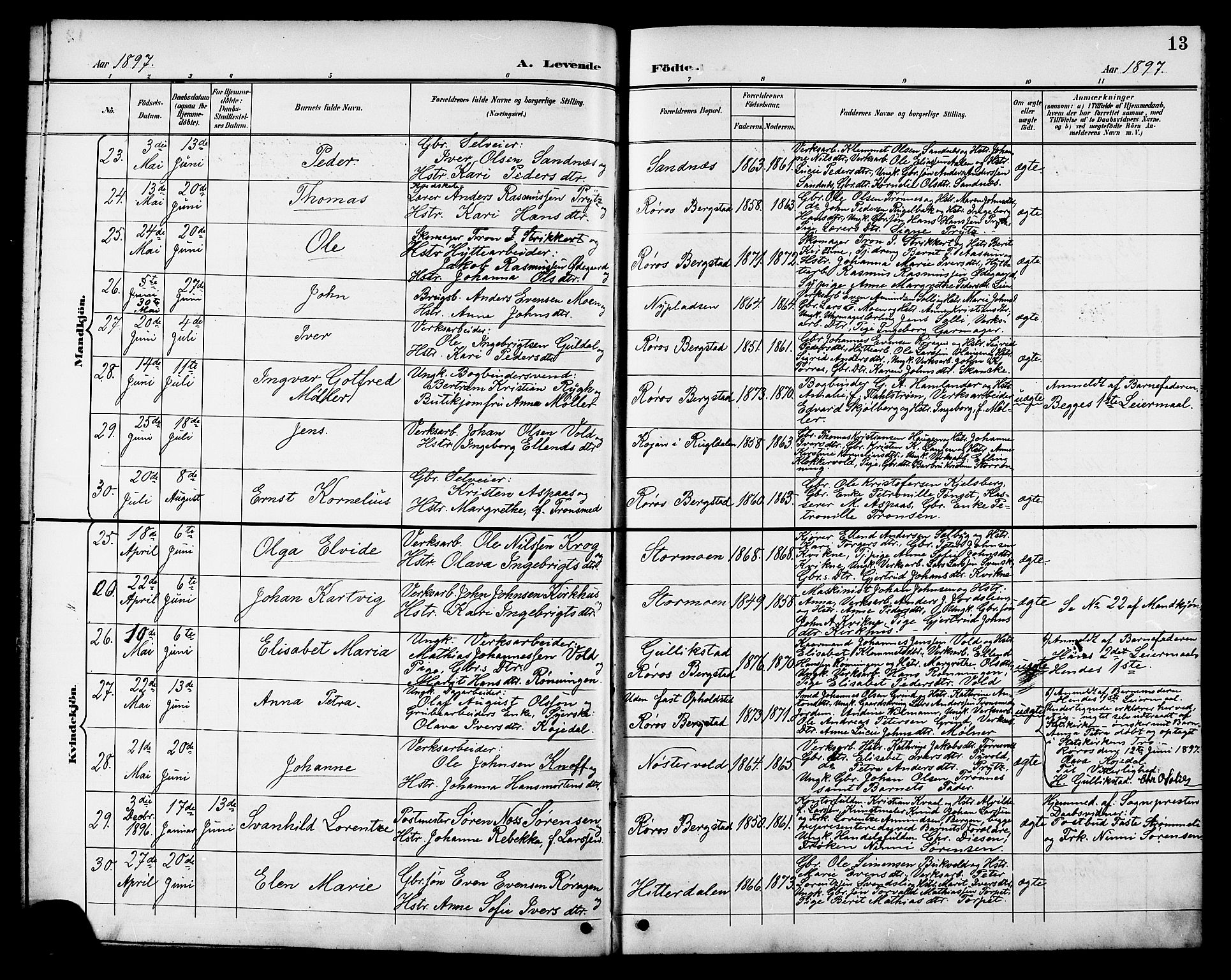 Ministerialprotokoller, klokkerbøker og fødselsregistre - Sør-Trøndelag, AV/SAT-A-1456/681/L0941: Parish register (copy) no. 681C05, 1896-1905, p. 13