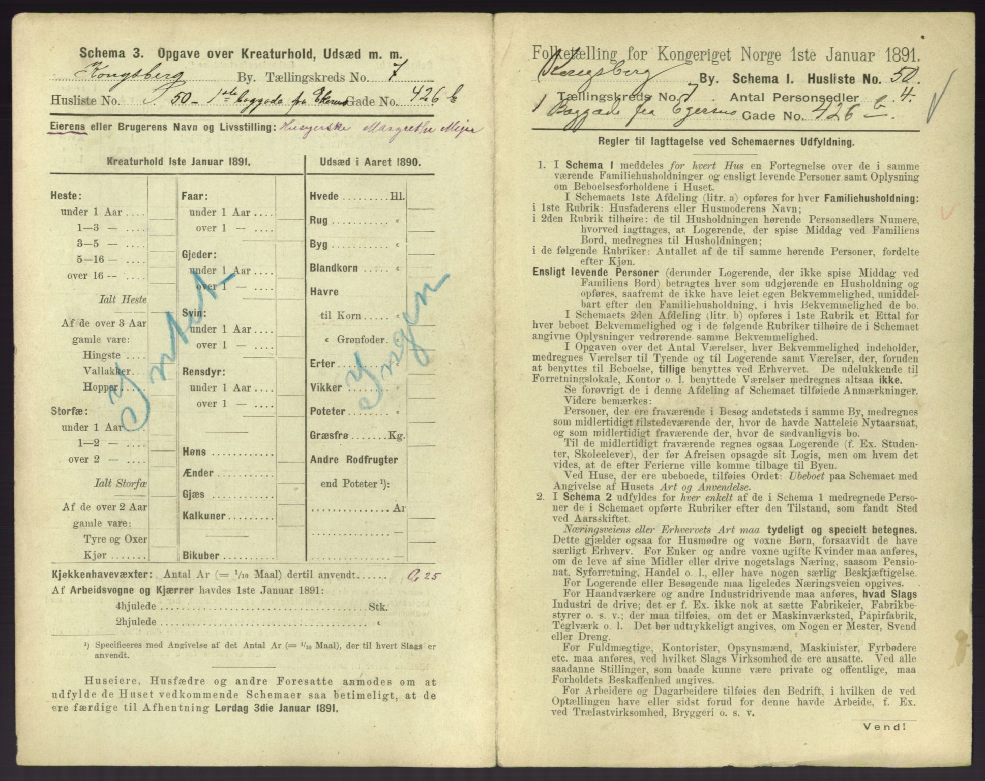 RA, 1891 census for 0604 Kongsberg, 1891, p. 1087