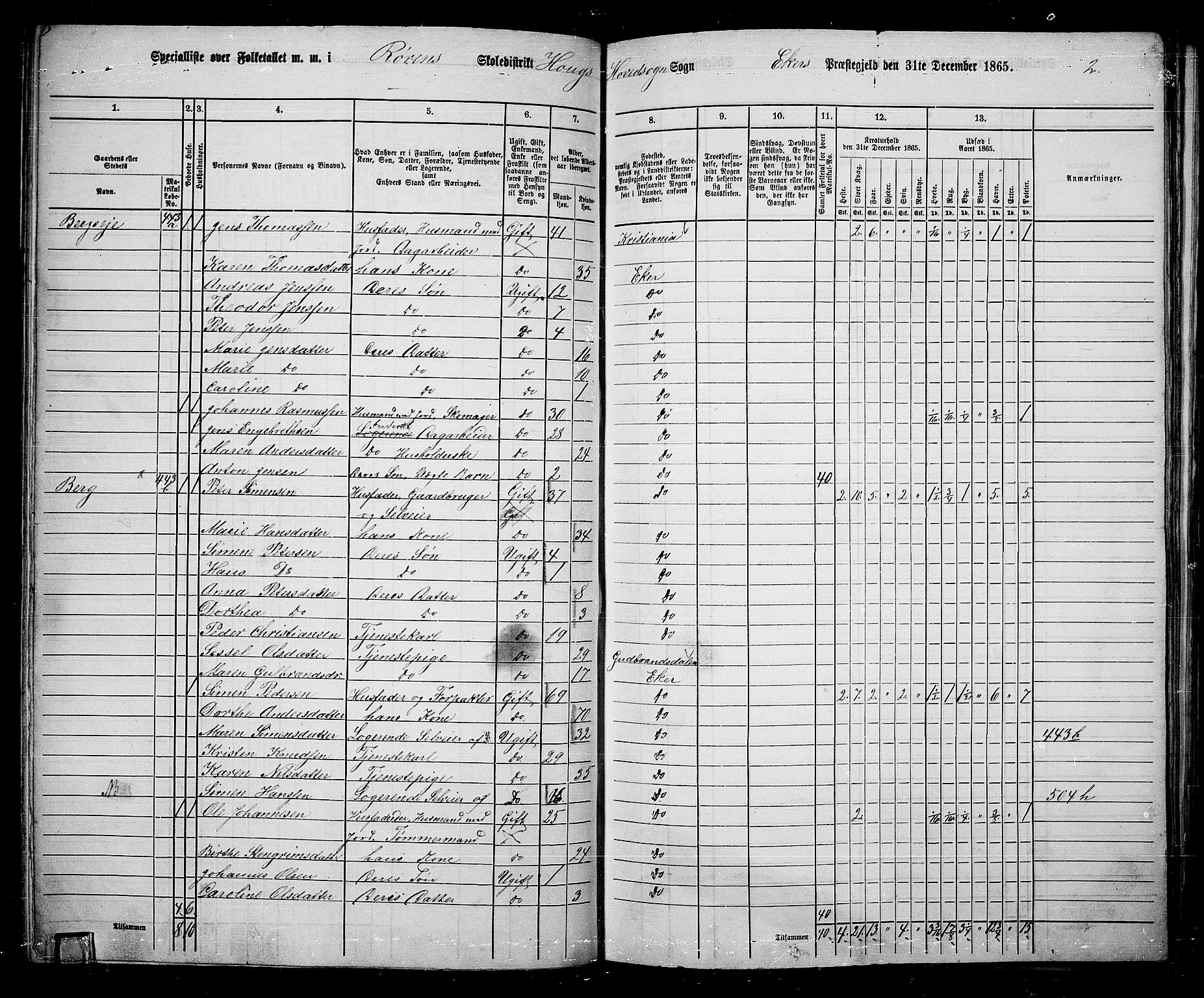 RA, 1865 census for Eiker, 1865, p. 106