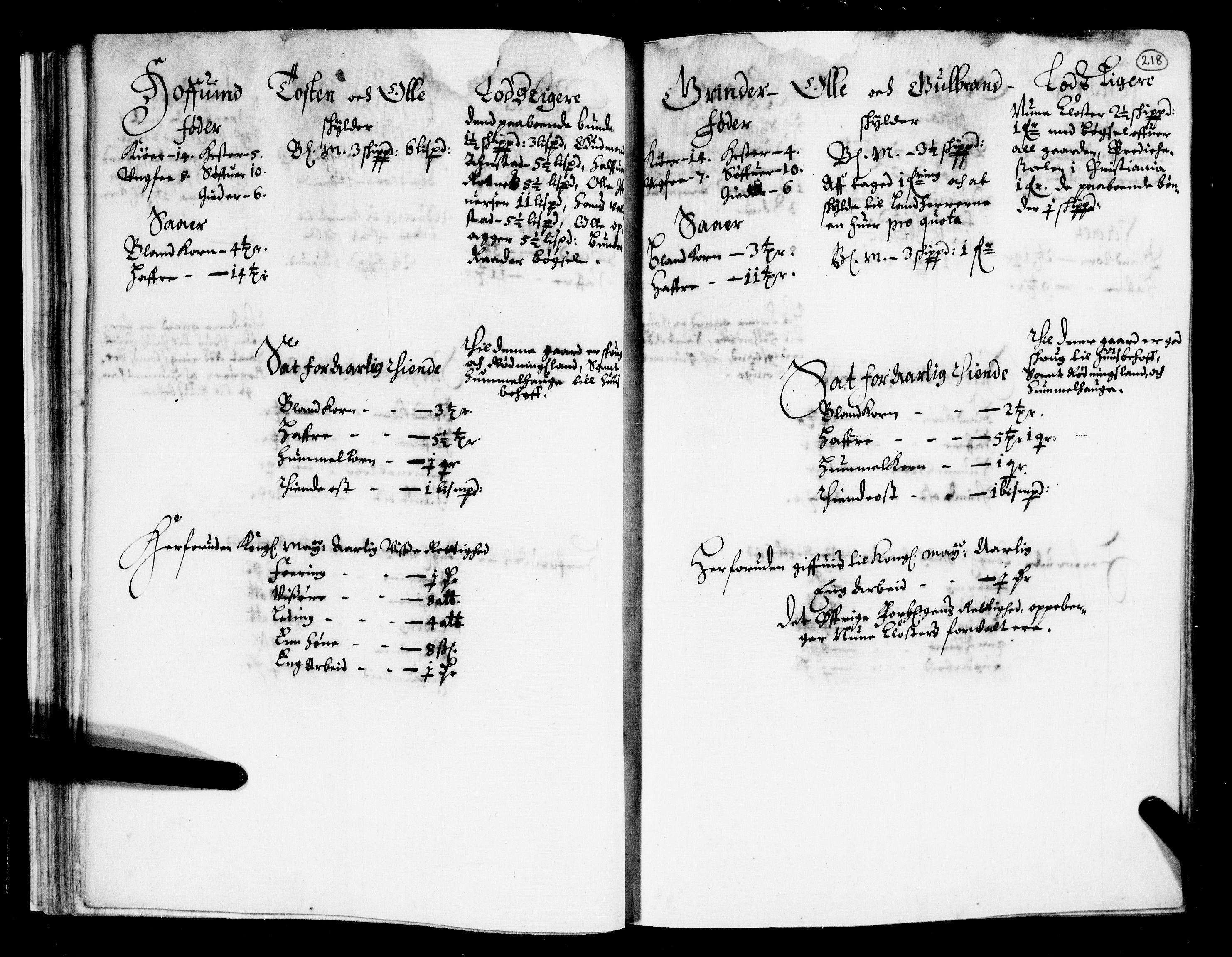Rentekammeret inntil 1814, Realistisk ordnet avdeling, AV/RA-EA-4070/N/Nb/Nba/L0010: Øvre Romerike fogderi, 2. del, 1665, p. 217b-218a