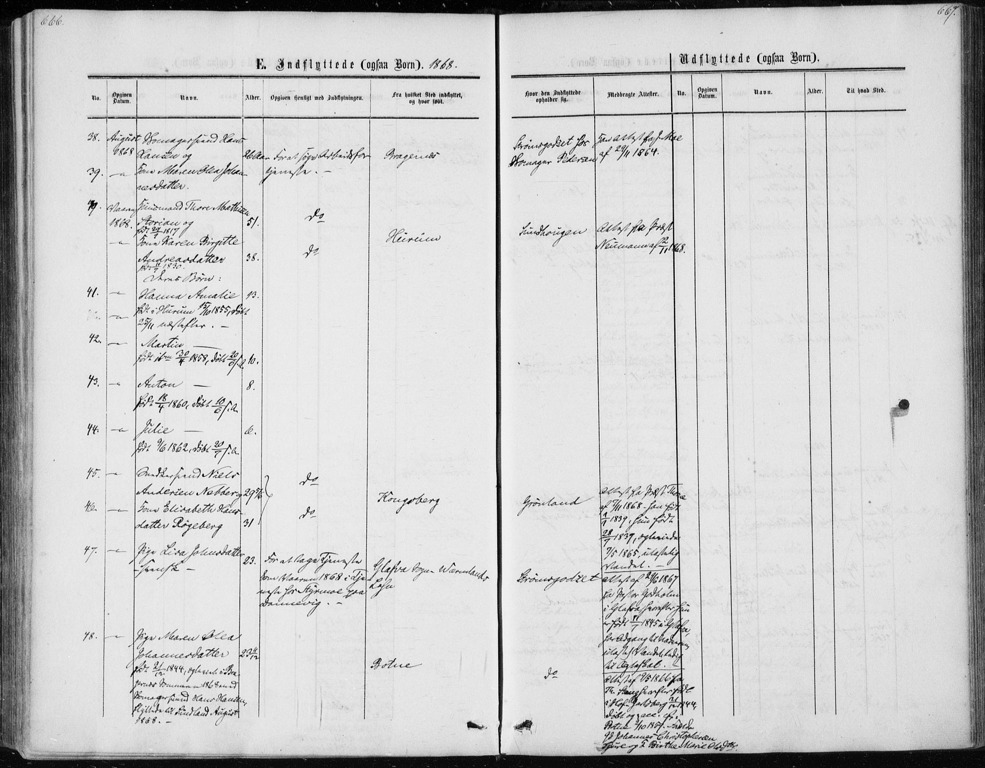 Skoger kirkebøker, AV/SAKO-A-59/F/Fa/L0004: Parish register (official) no. I 4, 1862-1872, p. 666-667