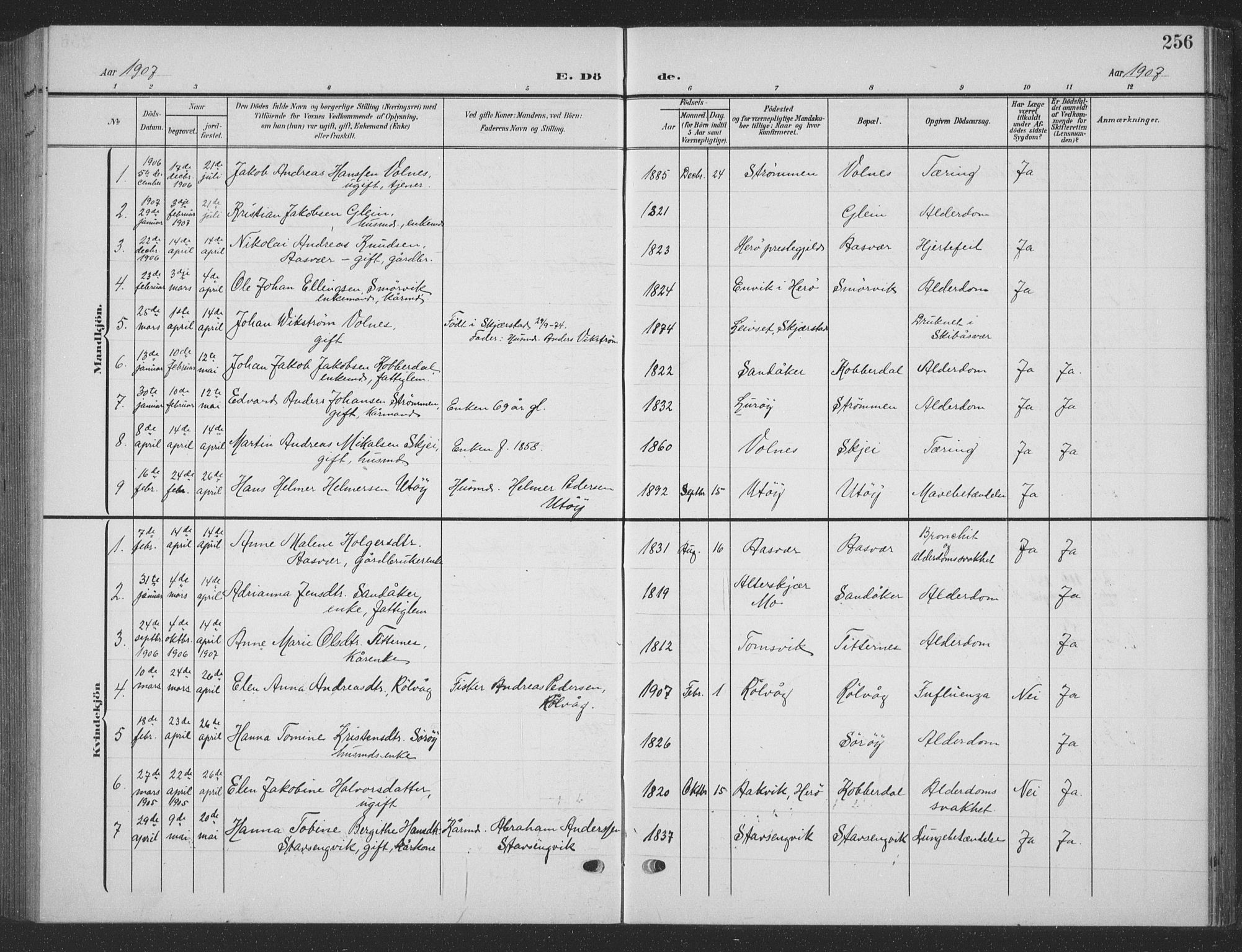 Ministerialprotokoller, klokkerbøker og fødselsregistre - Nordland, AV/SAT-A-1459/835/L0533: Parish register (copy) no. 835C05, 1906-1939, p. 256