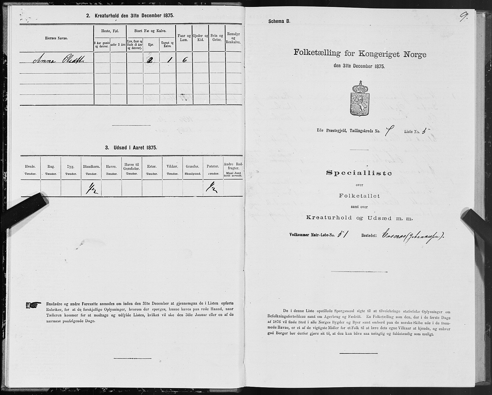 SAT, 1875 census for 1573P Edøy, 1875, p. 3009