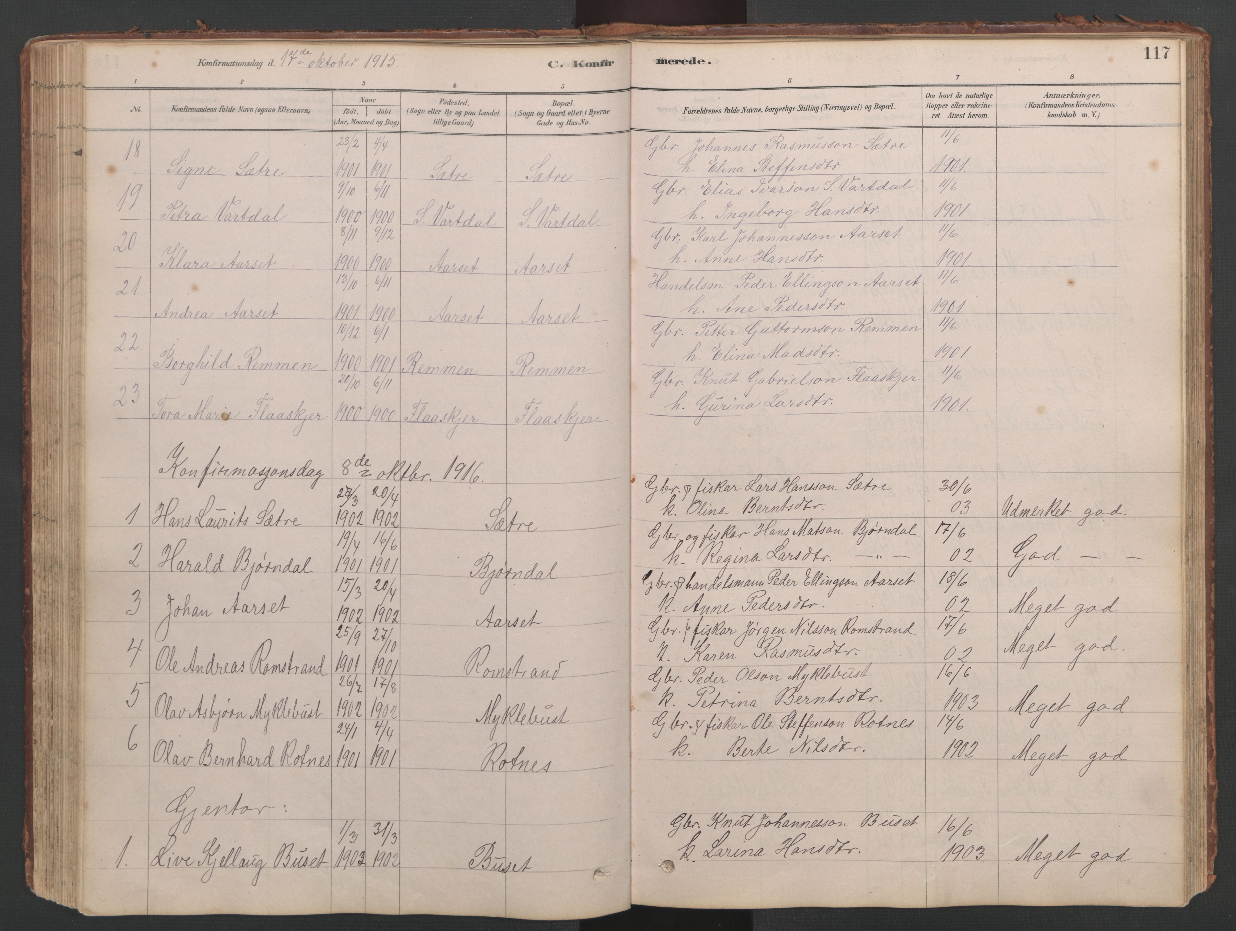Ministerialprotokoller, klokkerbøker og fødselsregistre - Møre og Romsdal, SAT/A-1454/514/L0201: Parish register (copy) no. 514C01, 1878-1919, p. 117