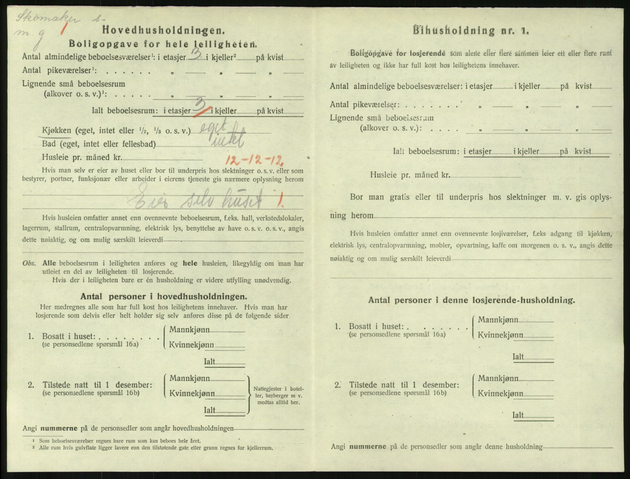 SAKO, 1920 census for Horten, 1920, p. 3916
