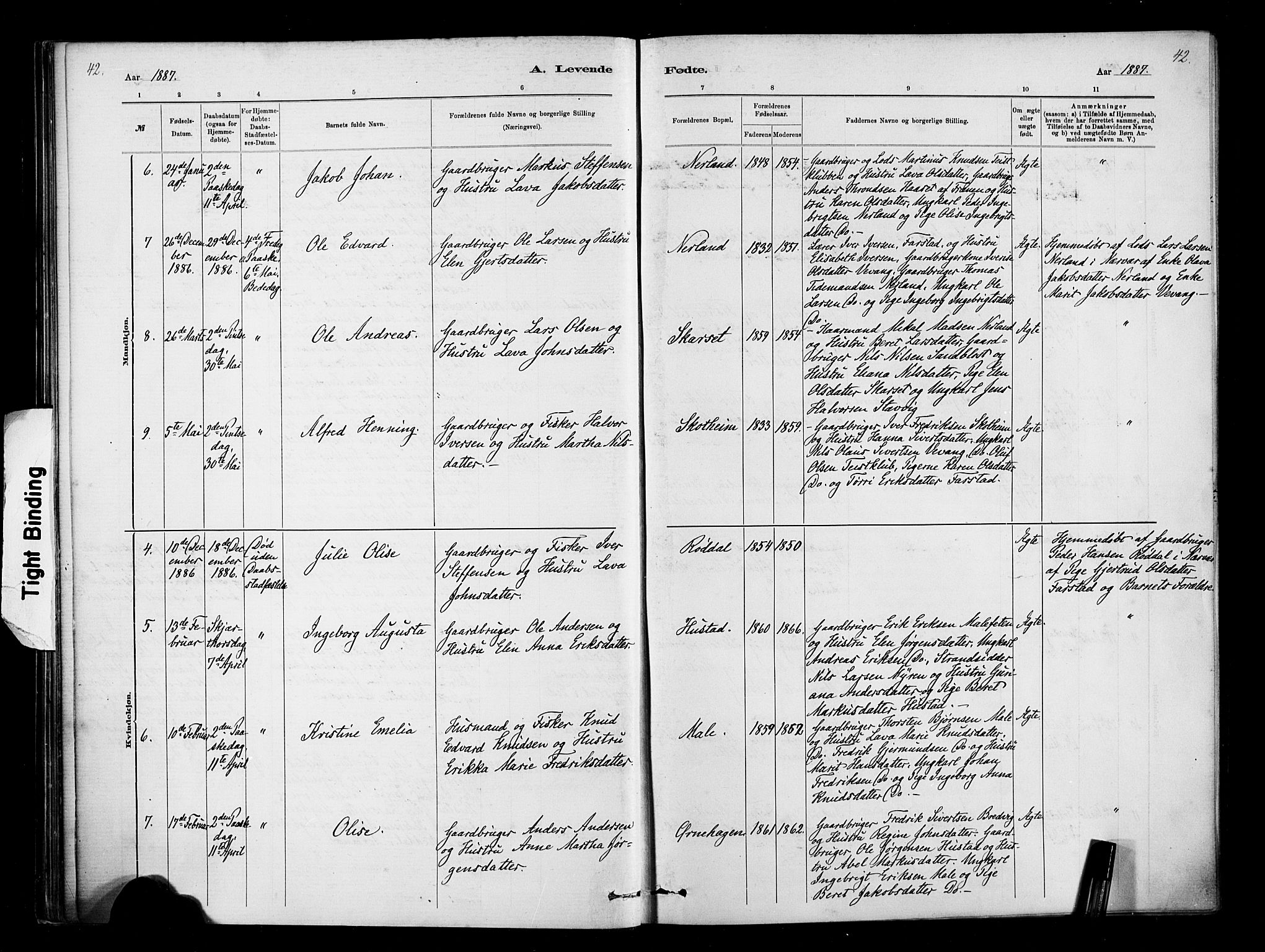 Ministerialprotokoller, klokkerbøker og fødselsregistre - Møre og Romsdal, AV/SAT-A-1454/567/L0778: Parish register (official) no. 567A01, 1881-1903, p. 42