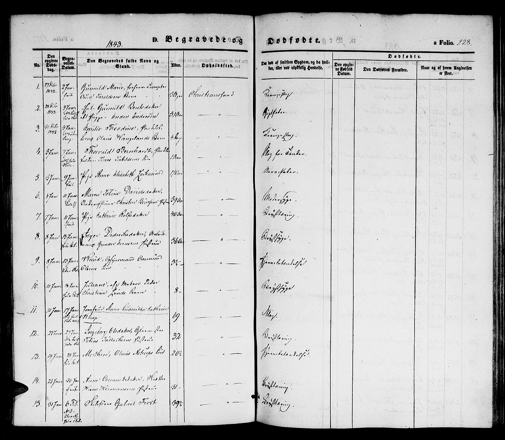 Kristiansand domprosti, SAK/1112-0006/F/Fb/L0010: Parish register (copy) no. B 10, 1843-1850, p. 228