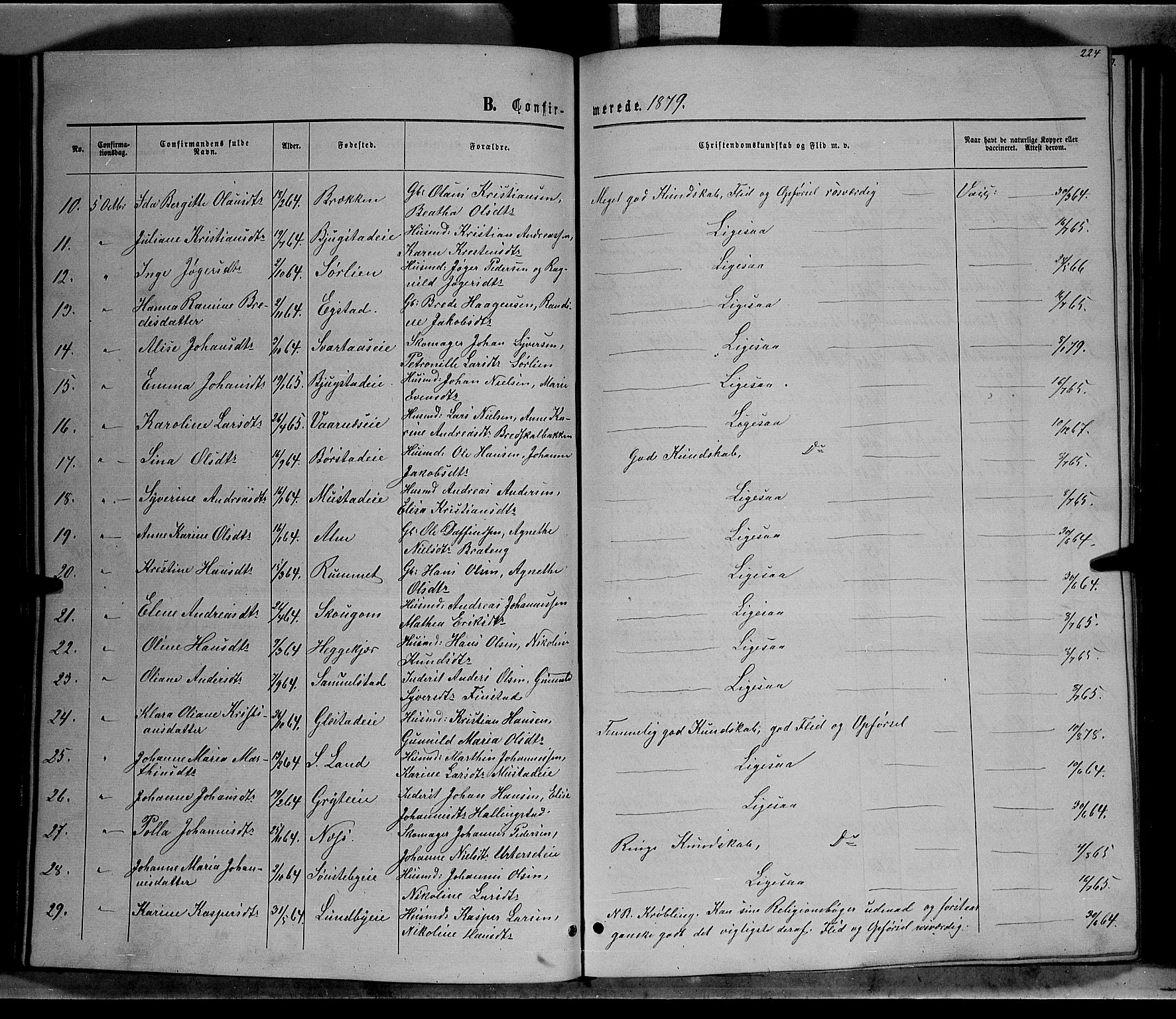 Vardal prestekontor, SAH/PREST-100/H/Ha/Hab/L0006: Parish register (copy) no. 6, 1869-1881, p. 224