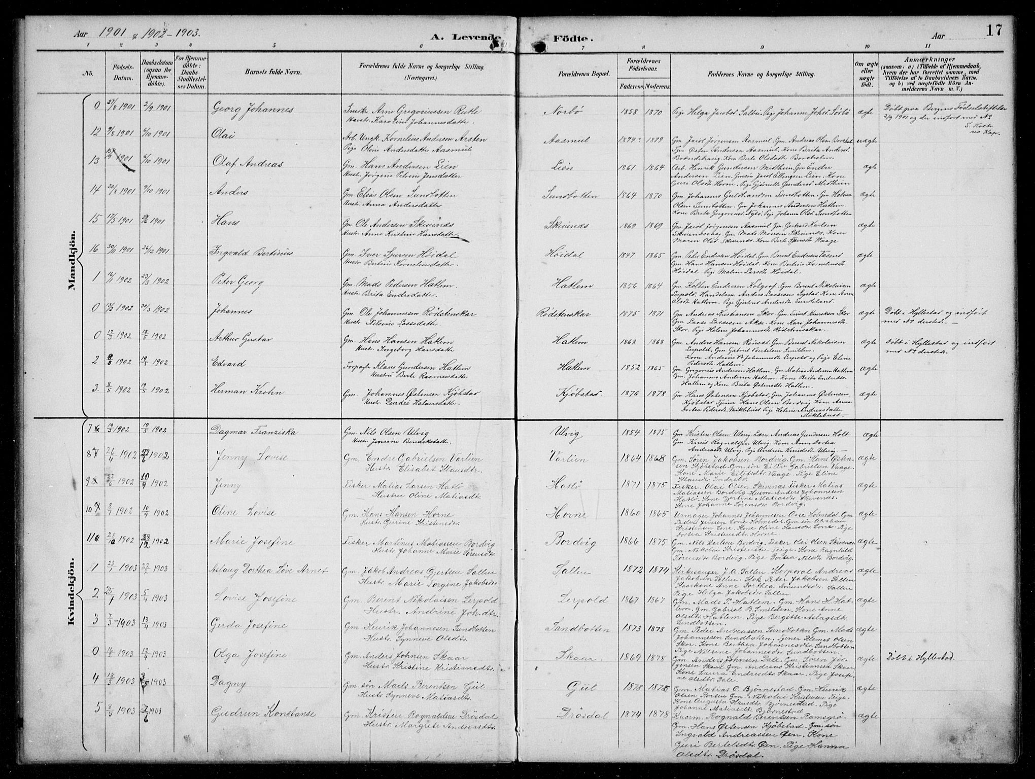 Hyllestad sokneprestembete, AV/SAB-A-80401: Parish register (copy) no. C 3, 1894-1913, p. 17