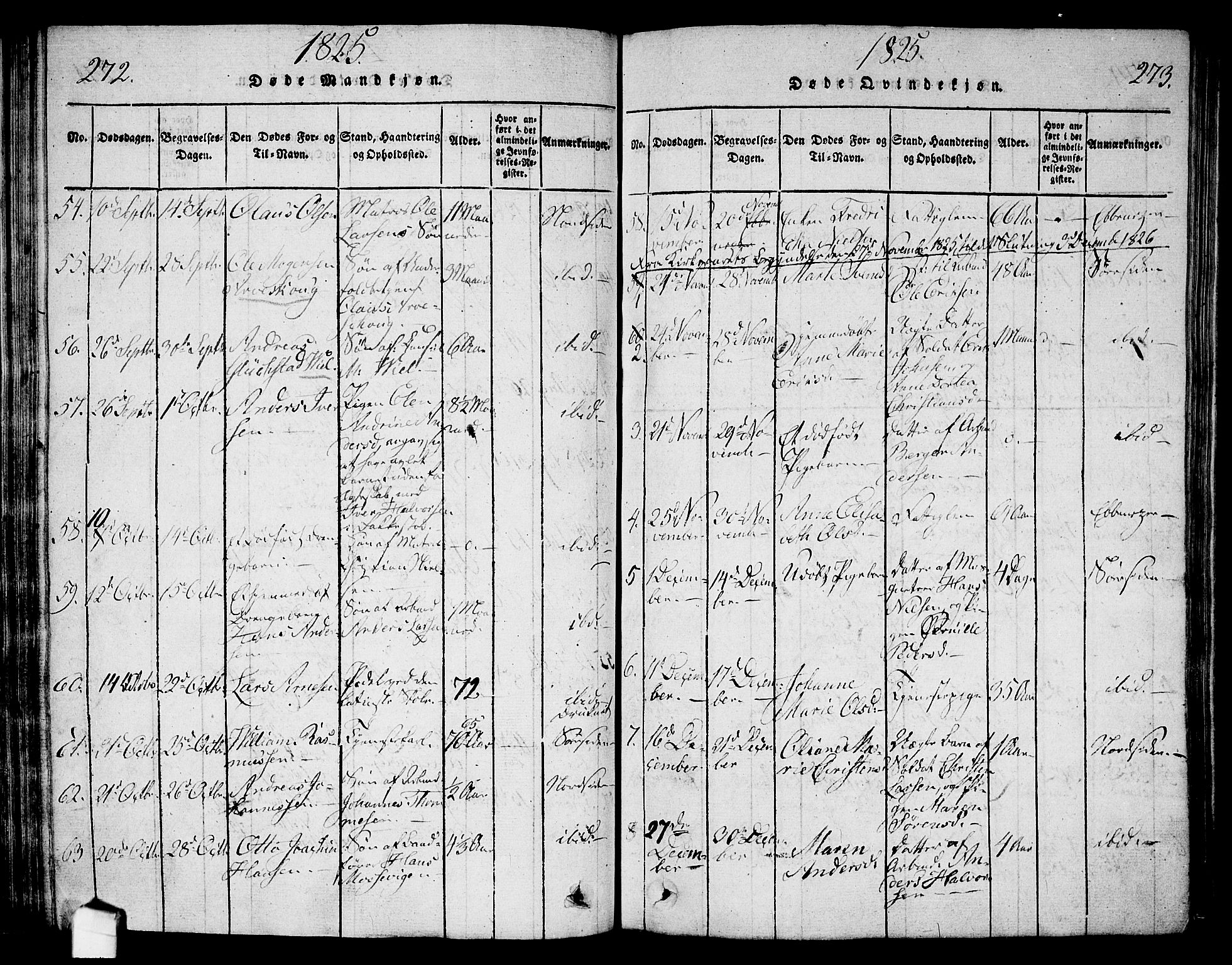 Halden prestekontor Kirkebøker, SAO/A-10909/G/Ga/L0001: Parish register (copy) no. 1, 1815-1833, p. 272-273