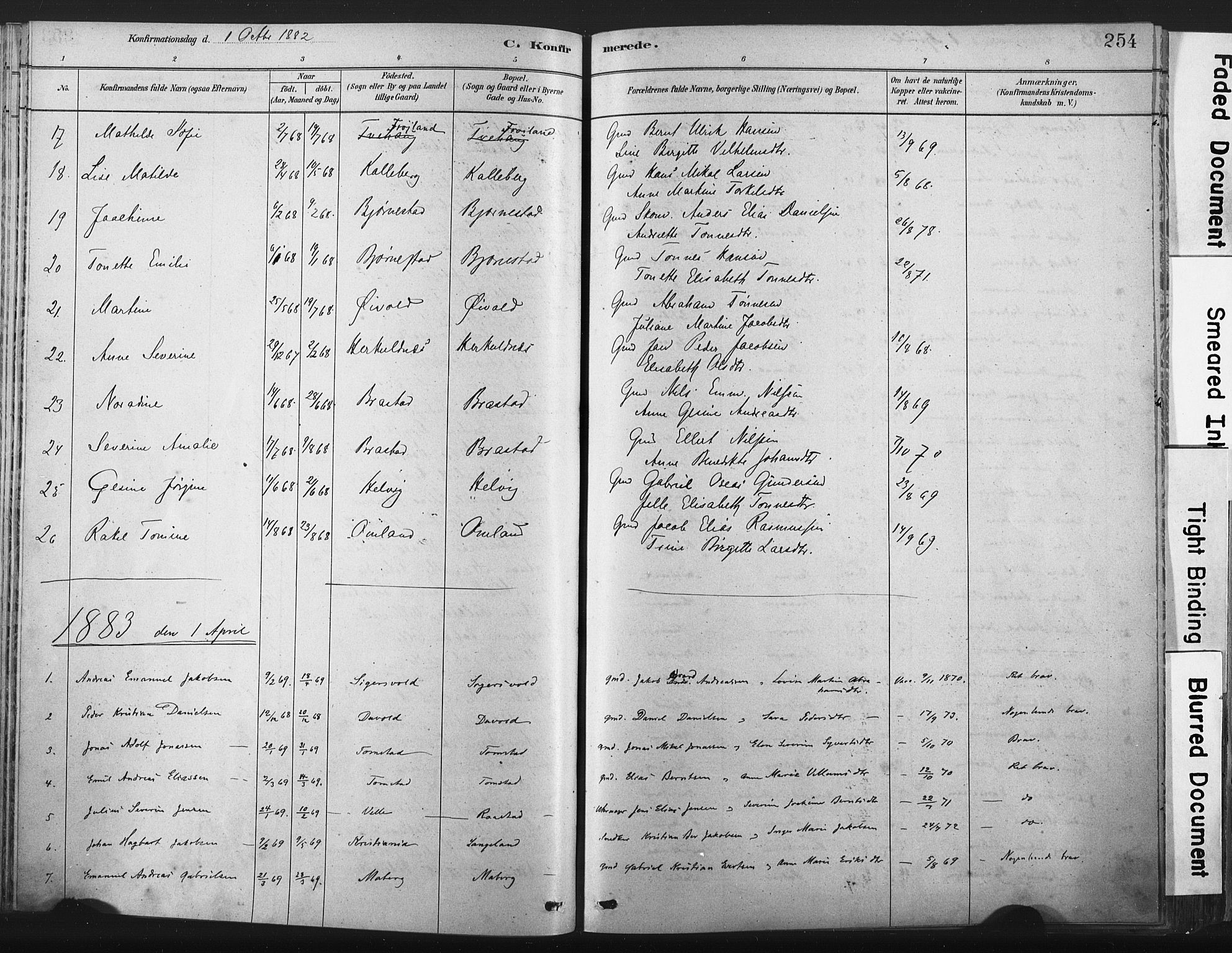 Lista sokneprestkontor, SAK/1111-0027/F/Fa/L0012: Parish register (official) no. A 12, 1879-1903, p. 254