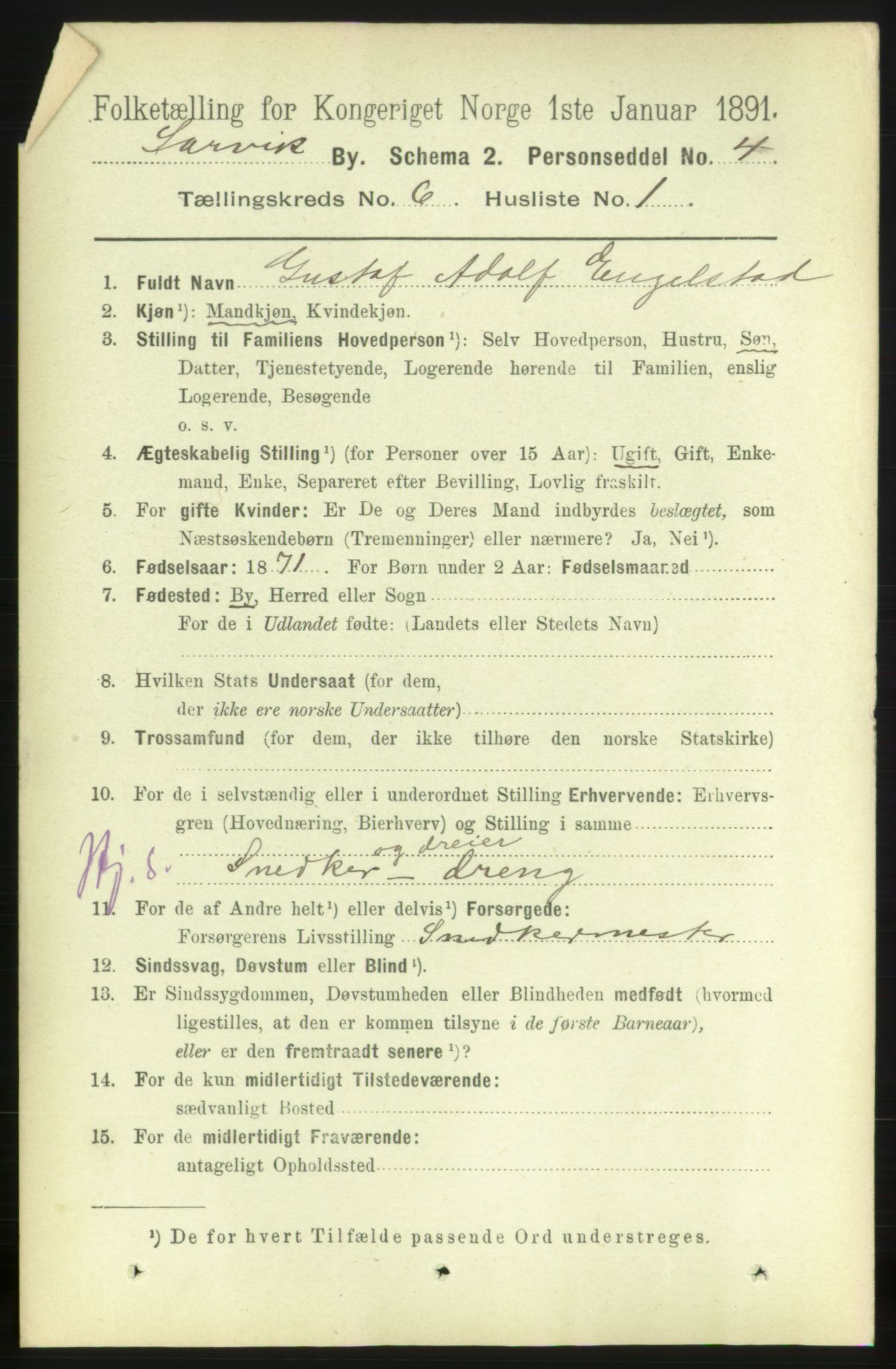 RA, 1891 census for 0707 Larvik, 1891, p. 6584