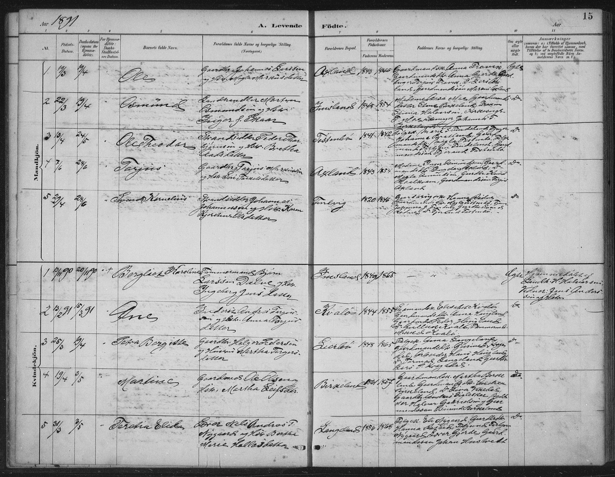 Vikedal sokneprestkontor, AV/SAST-A-101840/01/IV: Parish register (official) no. A 12, 1886-1929, p. 15