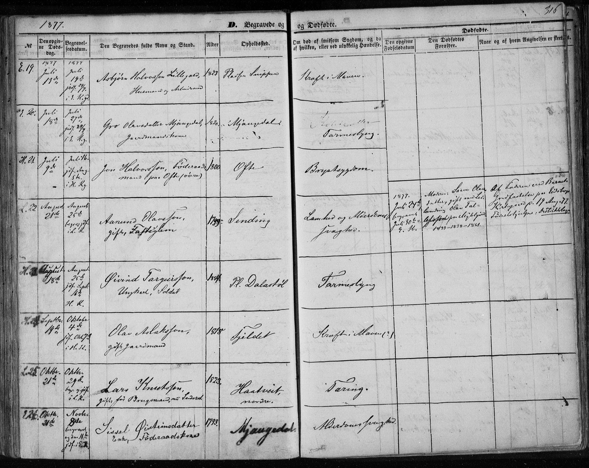 Lårdal kirkebøker, SAKO/A-284/F/Fa/L0006: Parish register (official) no. I 6, 1861-1886, p. 316
