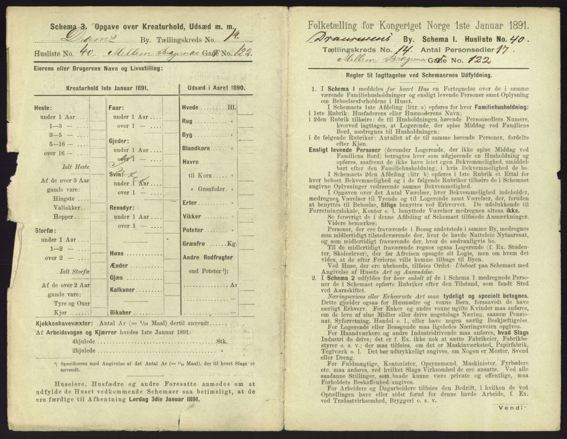 RA, 1891 census for 0602 Drammen, 1891, p. 1231