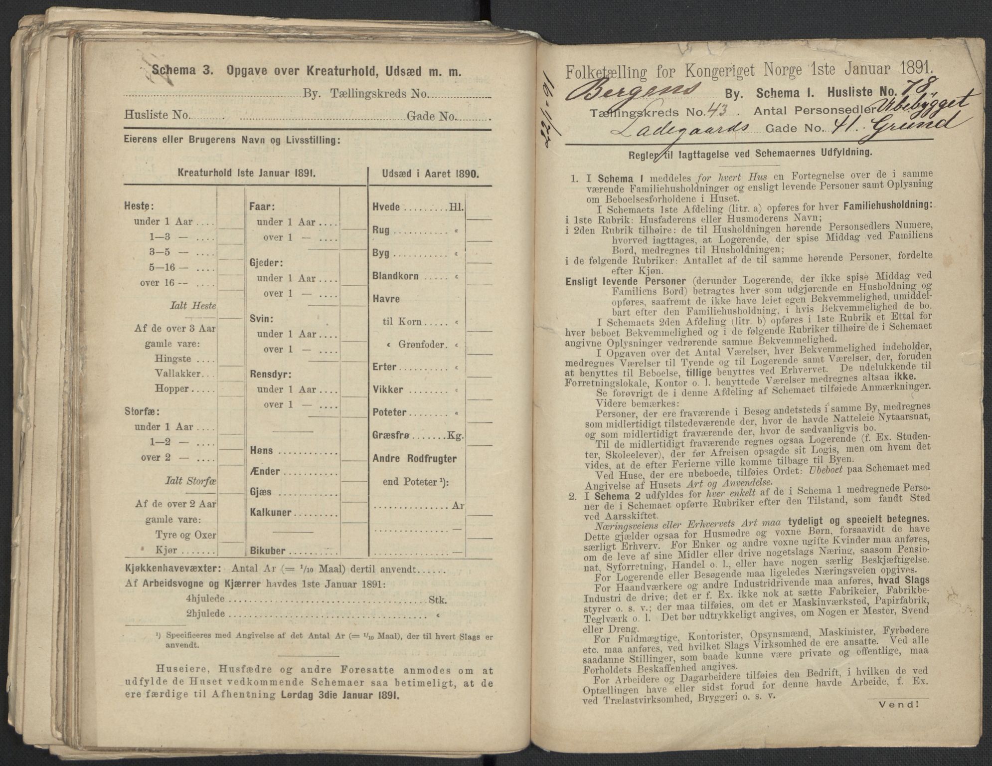 RA, 1891 Census for 1301 Bergen, 1891, p. 7329