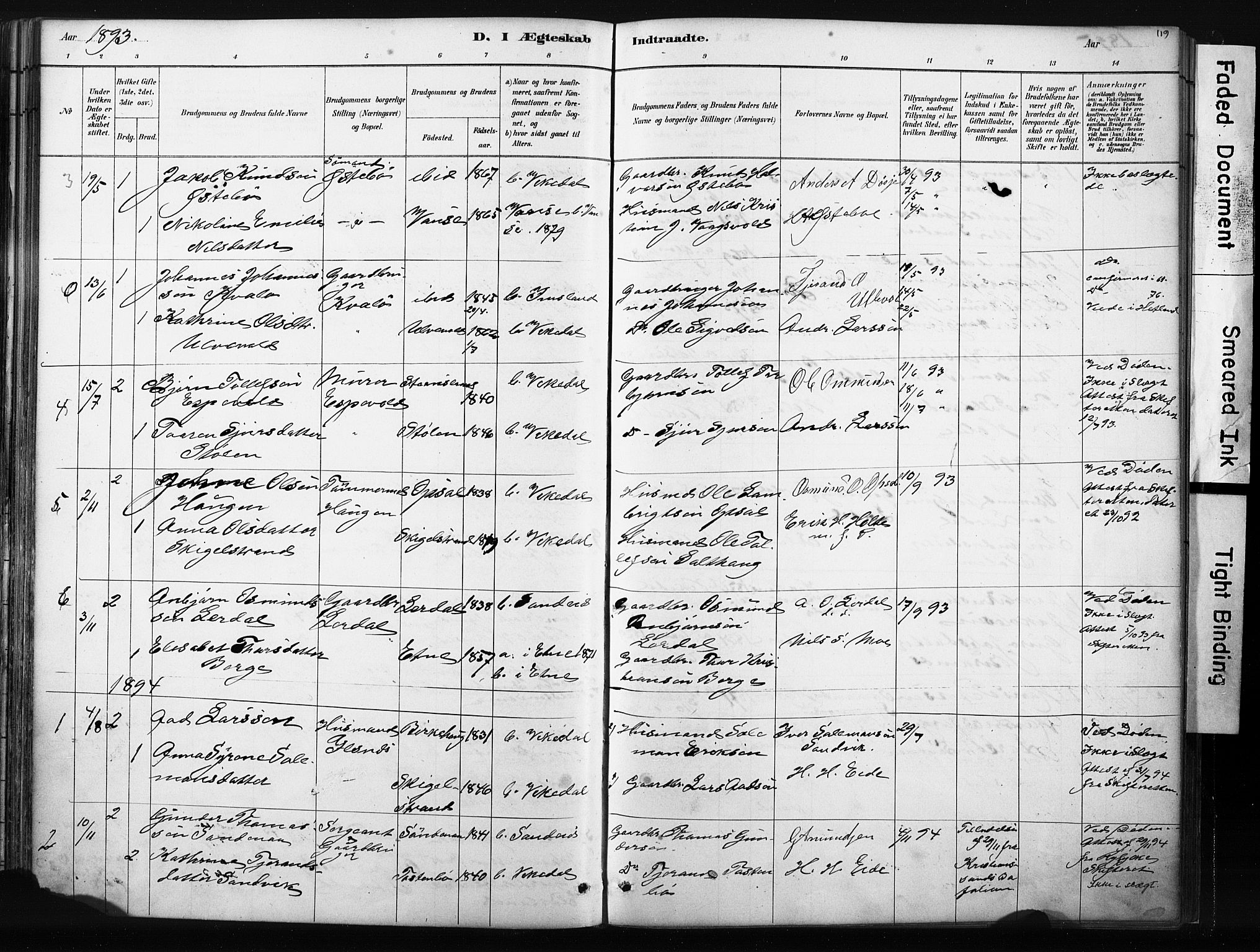 Vikedal sokneprestkontor, AV/SAST-A-101840/01/IV: Parish register (official) no. A 10, 1884-1907, p. 119