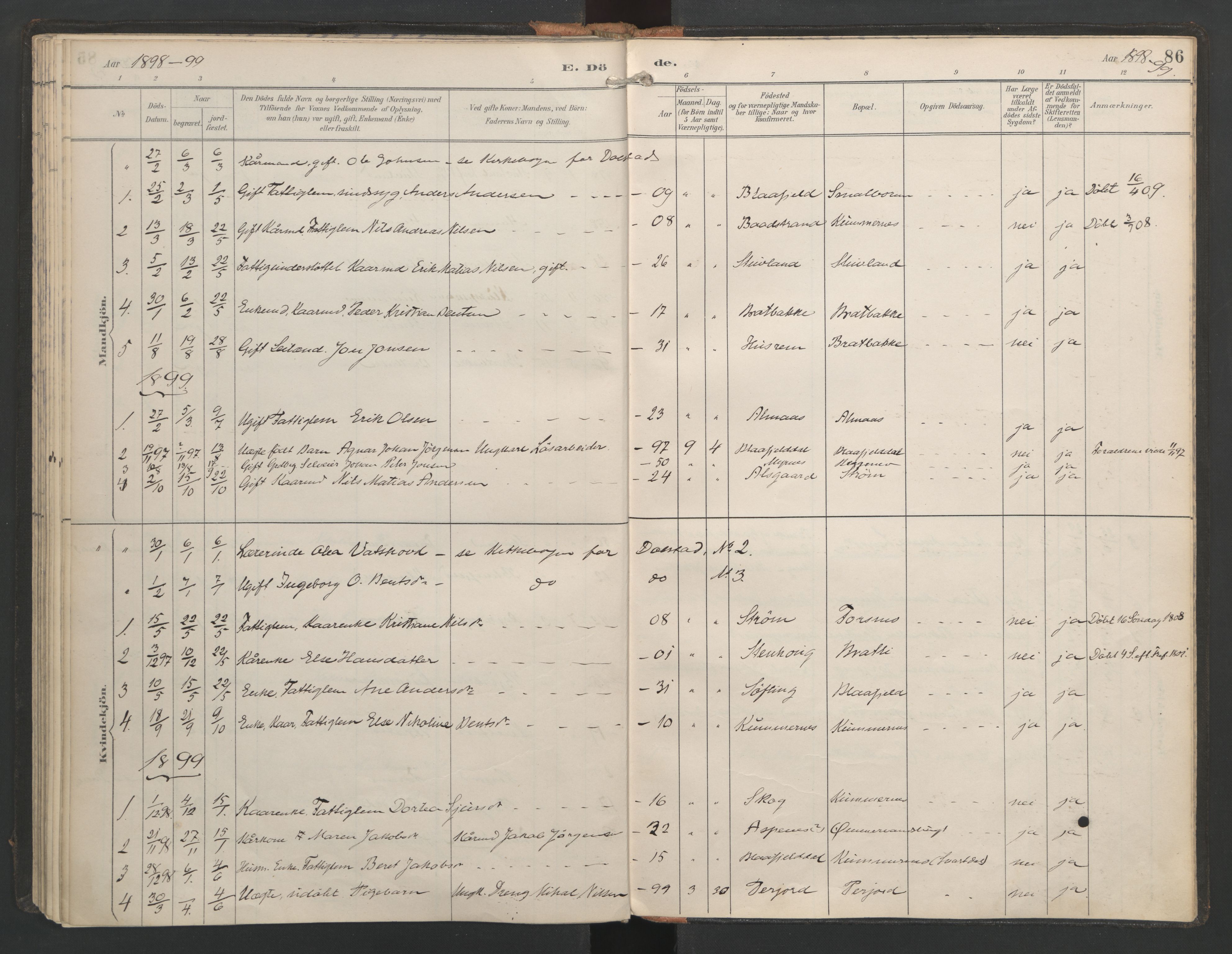Ministerialprotokoller, klokkerbøker og fødselsregistre - Nordland, SAT/A-1459/821/L0317: Parish register (official) no. 821A01, 1892-1907, p. 86