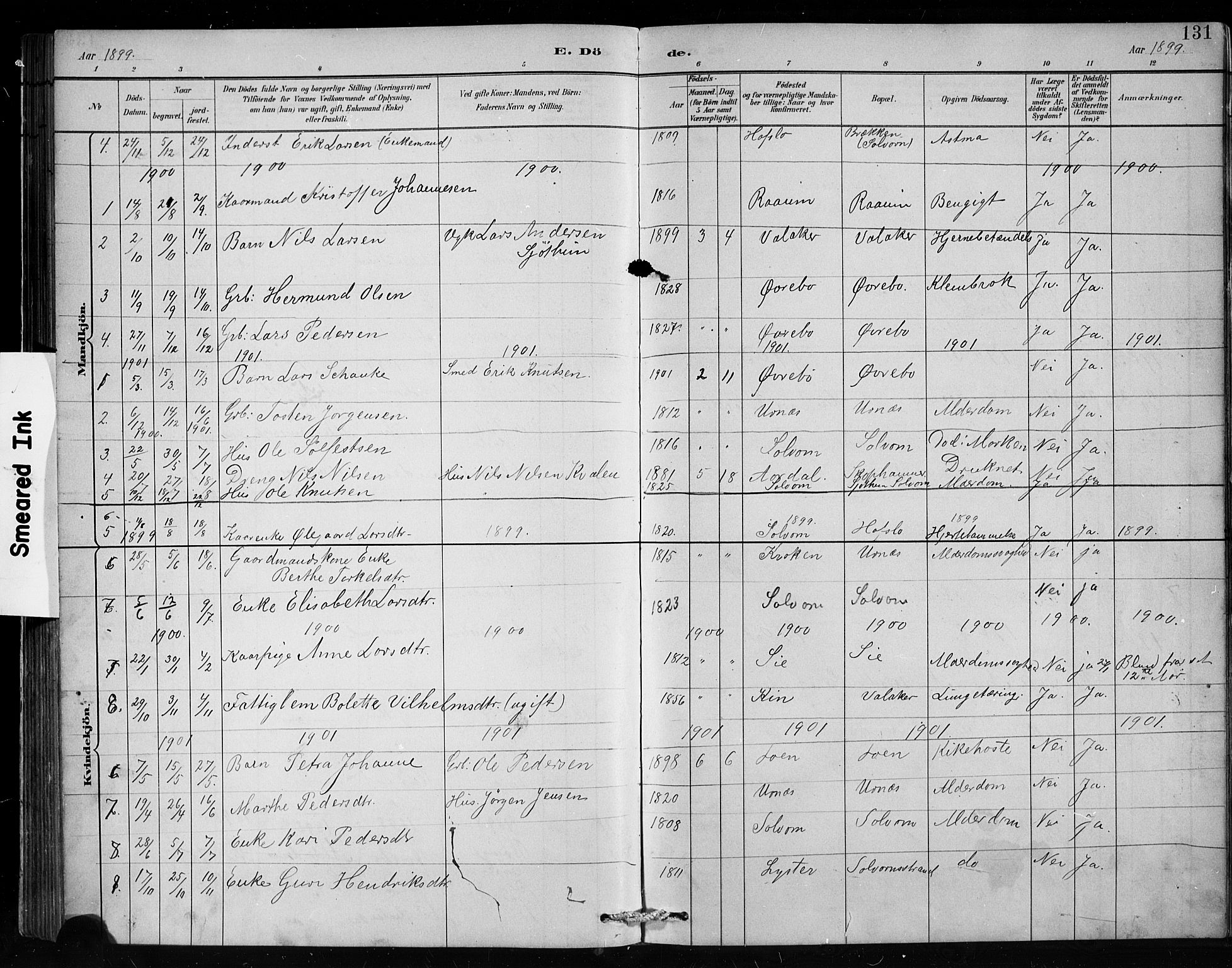 Hafslo sokneprestembete, SAB/A-80301/H/Hab/Habc/L0001: Parish register (copy) no. C 1, 1882-1908, p. 131