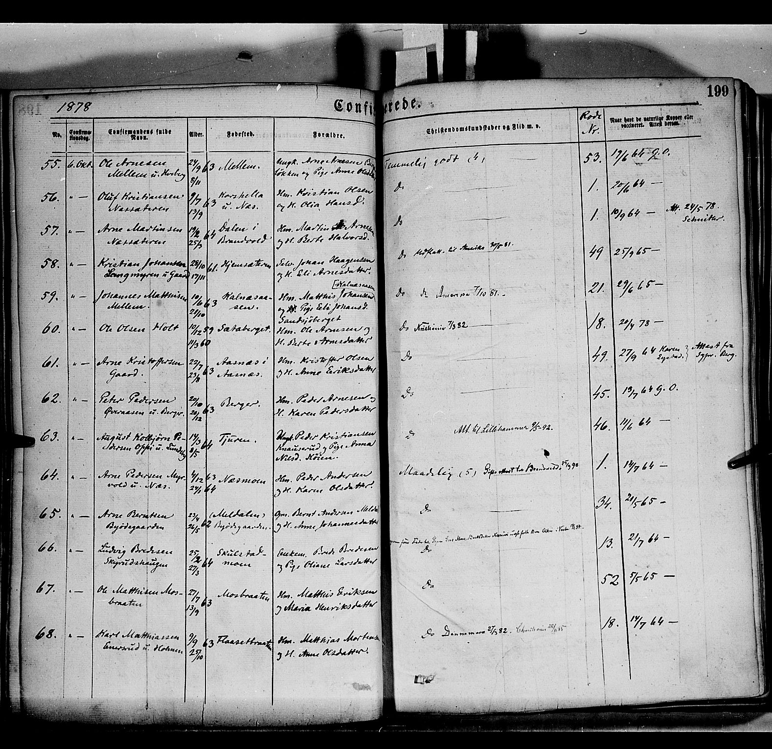 Grue prestekontor, AV/SAH-PREST-036/H/Ha/Haa/L0011: Parish register (official) no. 11, 1873-1880, p. 199