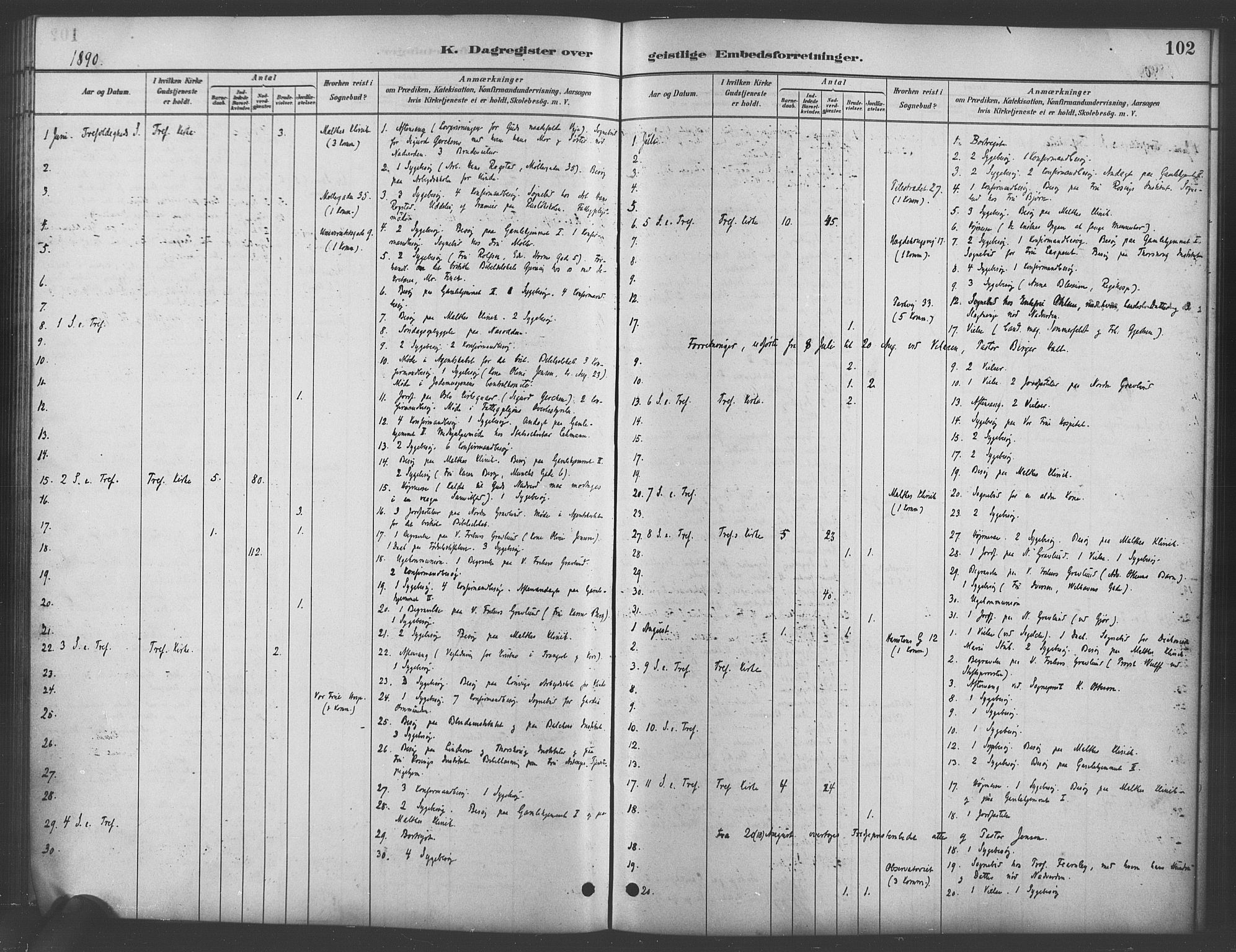 Trefoldighet prestekontor Kirkebøker, SAO/A-10882/I/Ia/L0003: Diary records no. 3, 1881-1901, p. 102